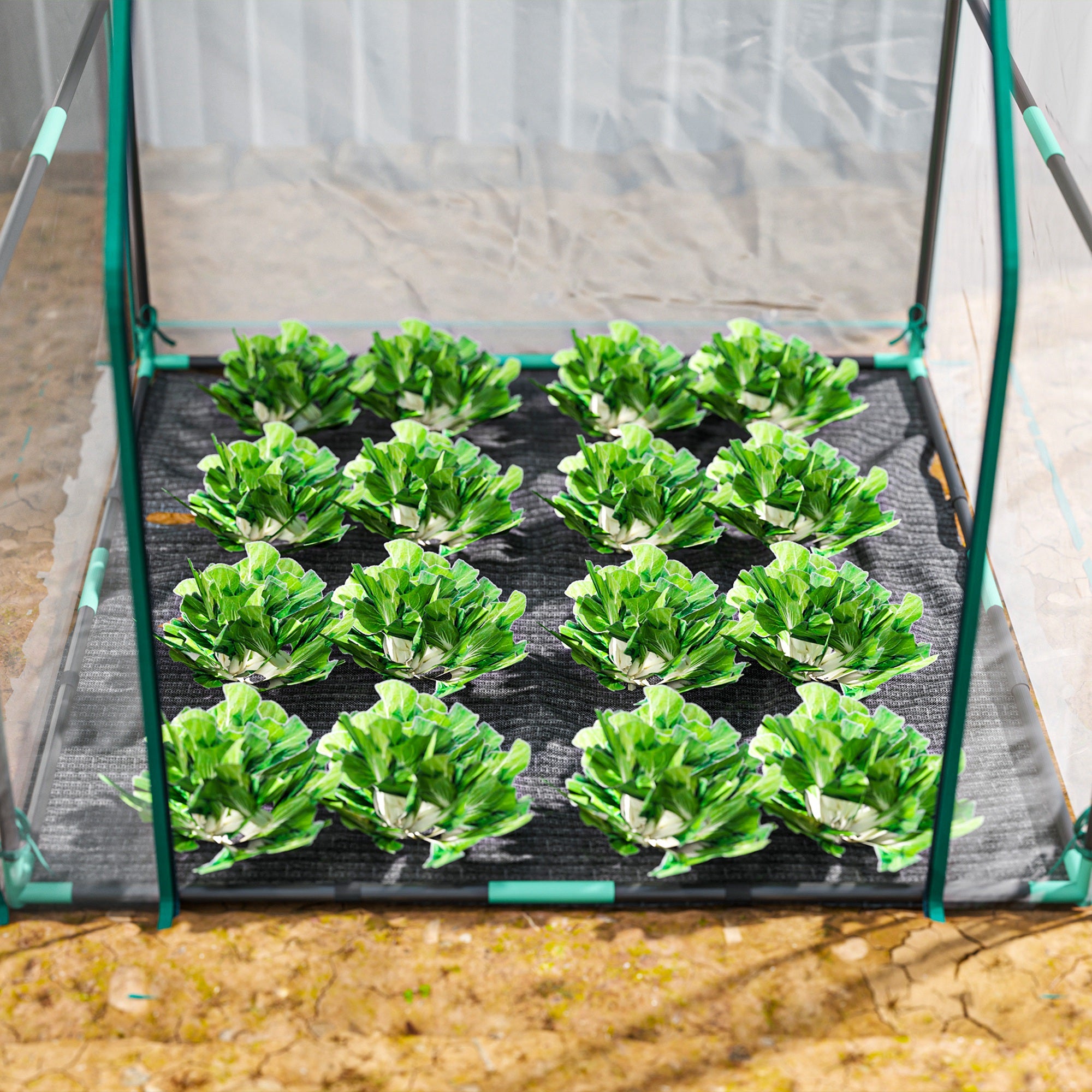 Estufa de Jardim Transparente 90x90x105 cm