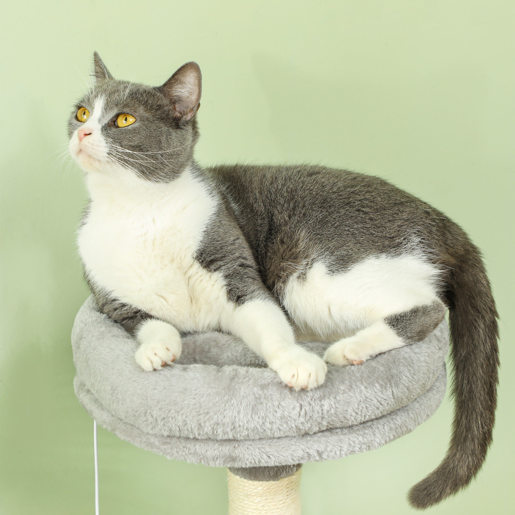 Arranhador para Gatos 110 cm Cinzento