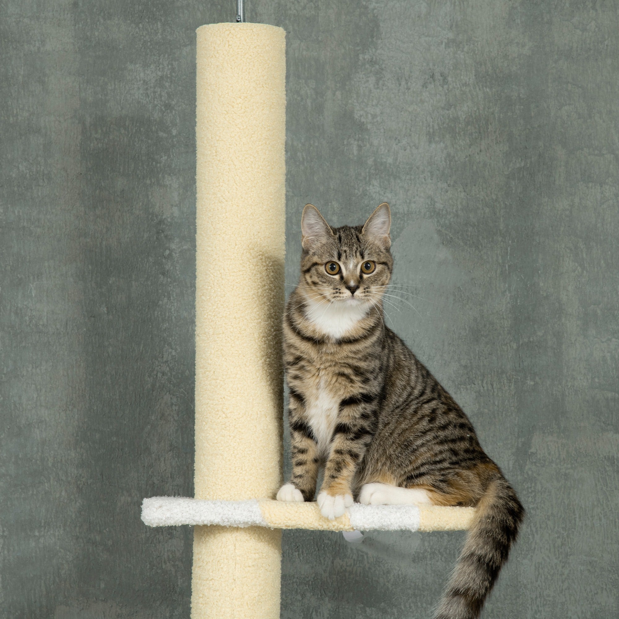 Arranhador para Gatos 220-260cm Creme