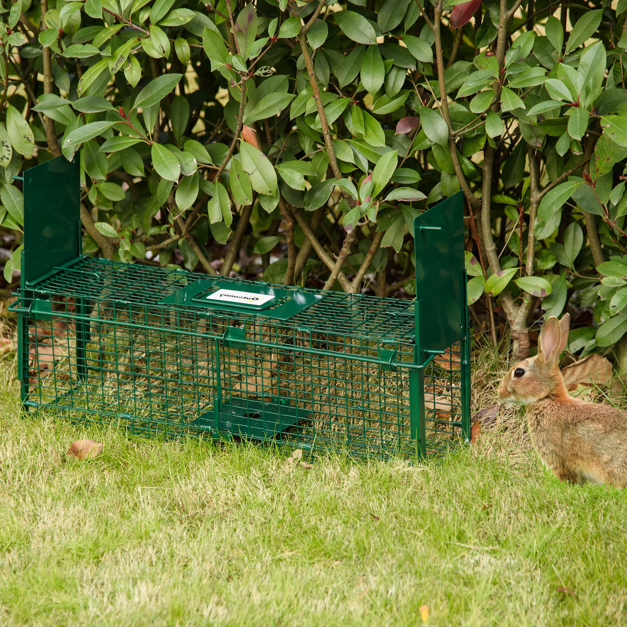 Armadilha para Animais Vivos 60x18x20 cm Verde Escuro