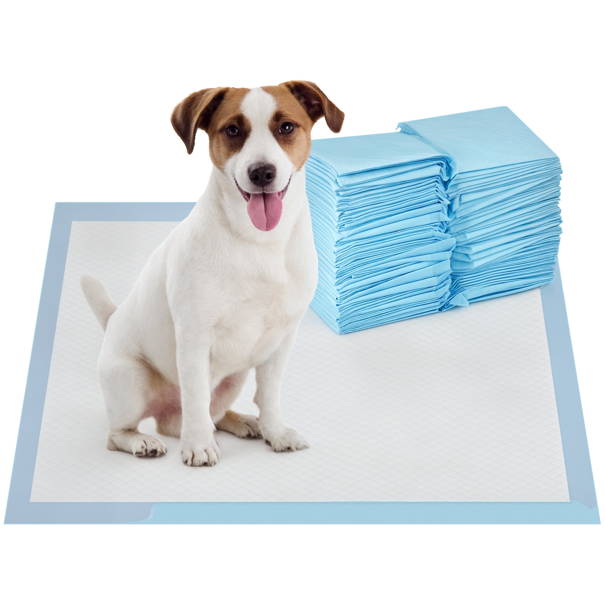 Resguardos de Treino para Cães 45x60 cm - Azul