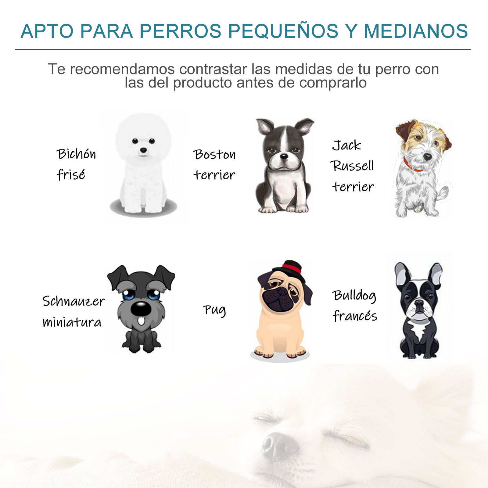Sofá-cama para Pequenos Animais de Estimação - Teal 64x40x24 cm