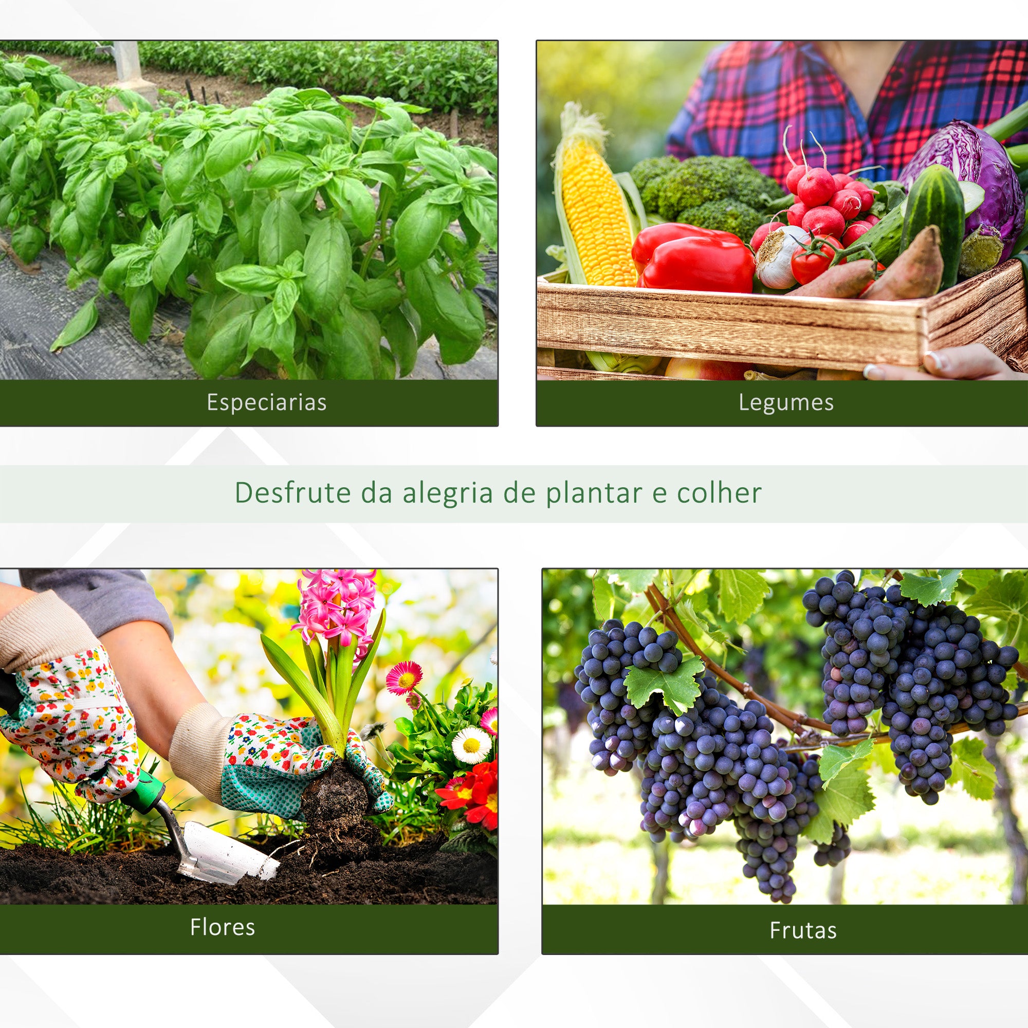 Estufa Tipo Túnel Verde 8x3x2m em Aço e PE 140 g/m²