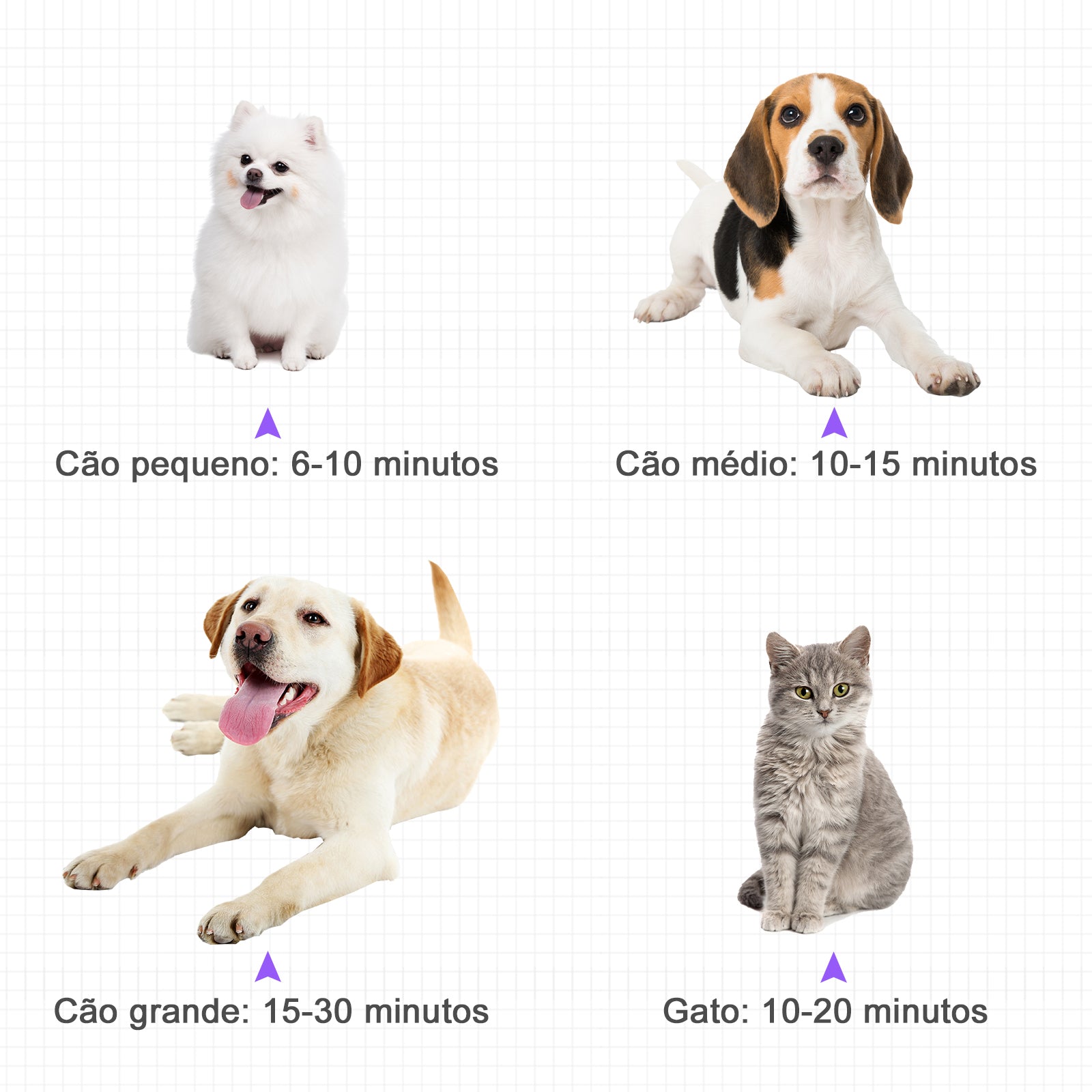 Secador de Pelo para Animais de Estimação Roxo 40x16x20cm - Potente 2800W