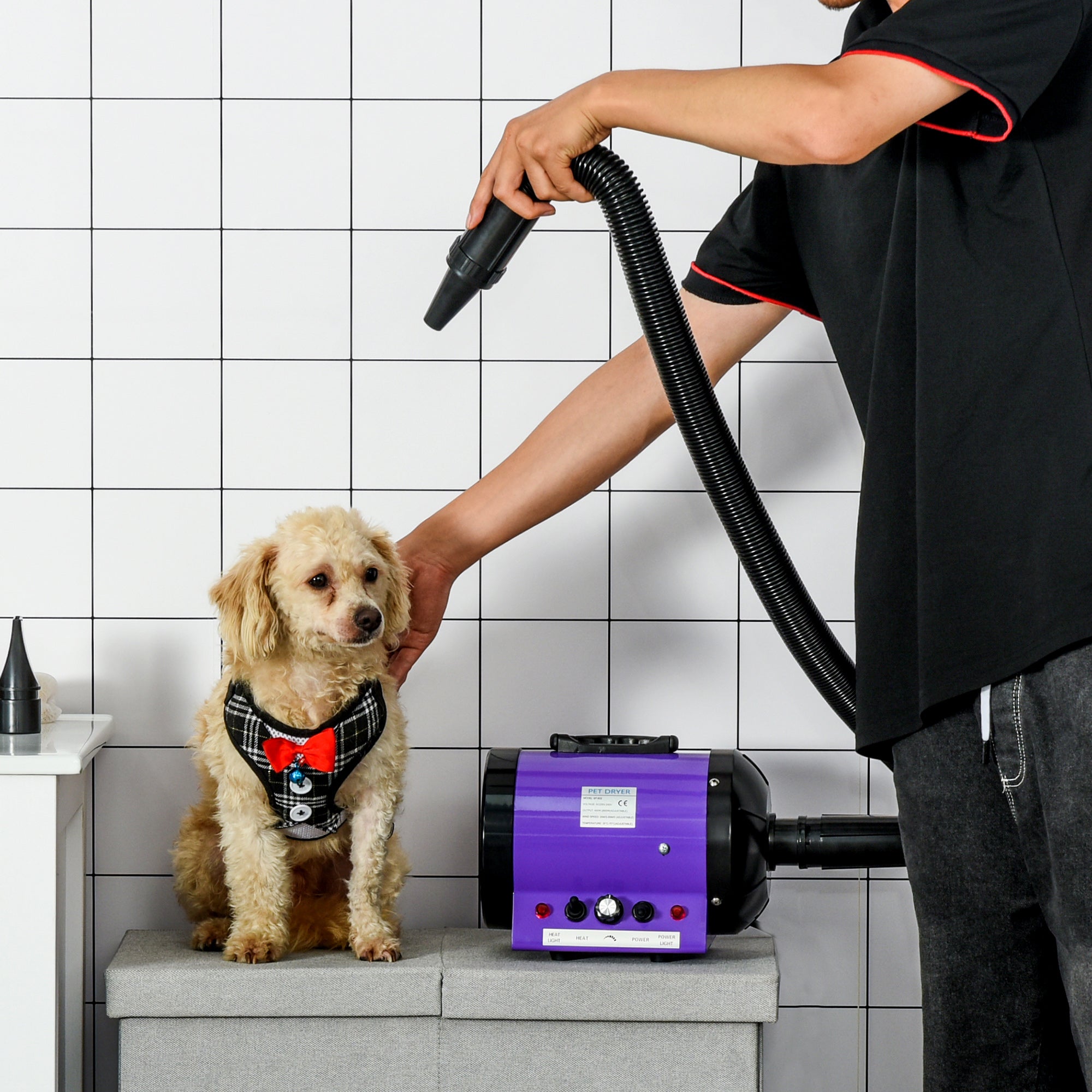 Secador de Pelo para Animais de Estimação Roxo 40x16x20cm - Potente 2800W