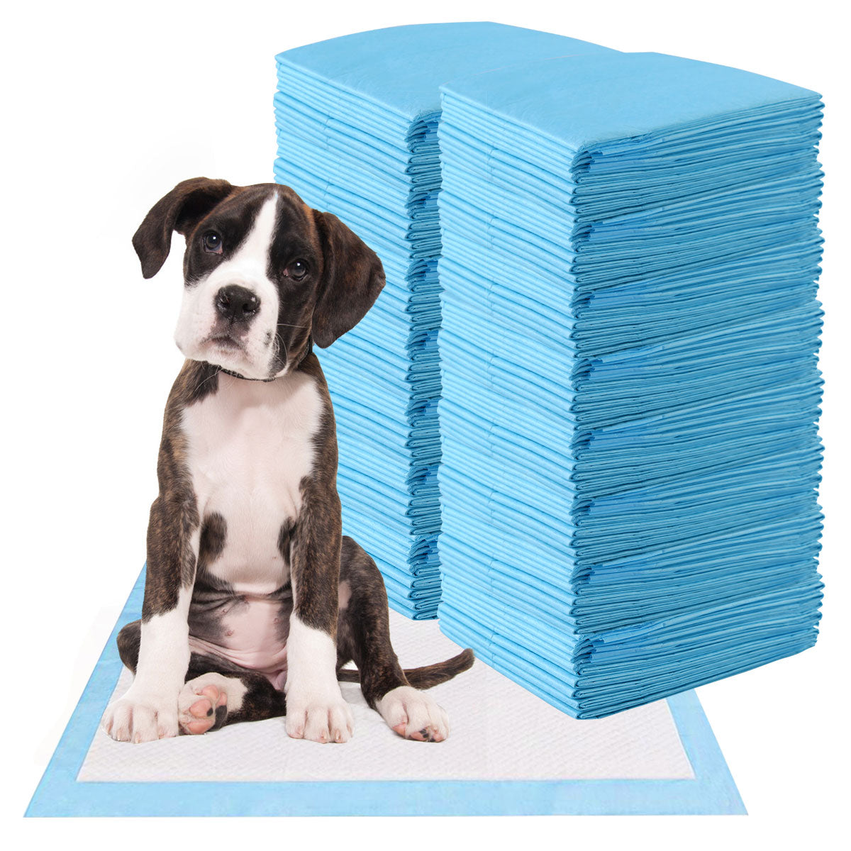 Pack de 100 Tapetes Descartáveis para Animais de Estimação 60 x 90 cm - Super Absorventes e de Secagem Rápida