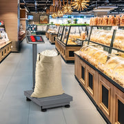 Báscula Industrial Digital de 300 kg com Calculadora de Preço e Ecrã LED - Prateada