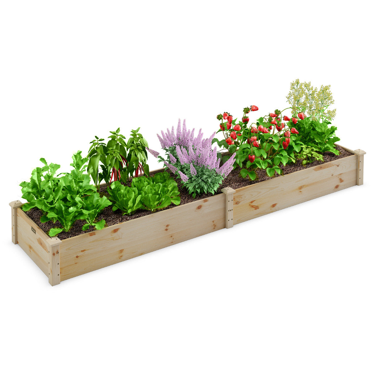 Cama de Jardim Elevada de Madeira para Plantas - 240 x 60 x 25 cm
