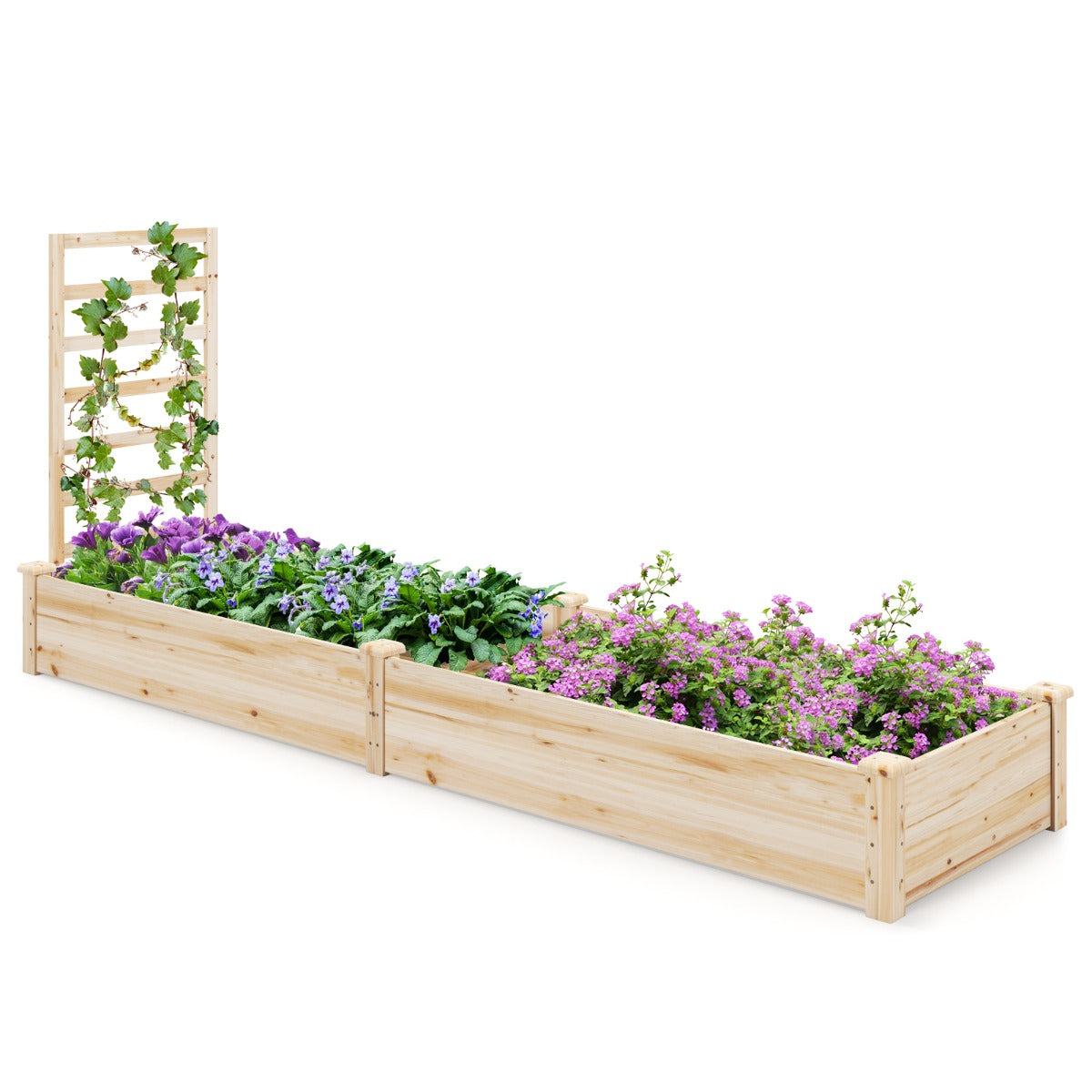 Parterre Elevado de Jardim com 2 Canteiros e Treliça Kit de Canteiro de Madeira para Exterior Pátio e Varanda 235 x 63 x 102 cm Natural
