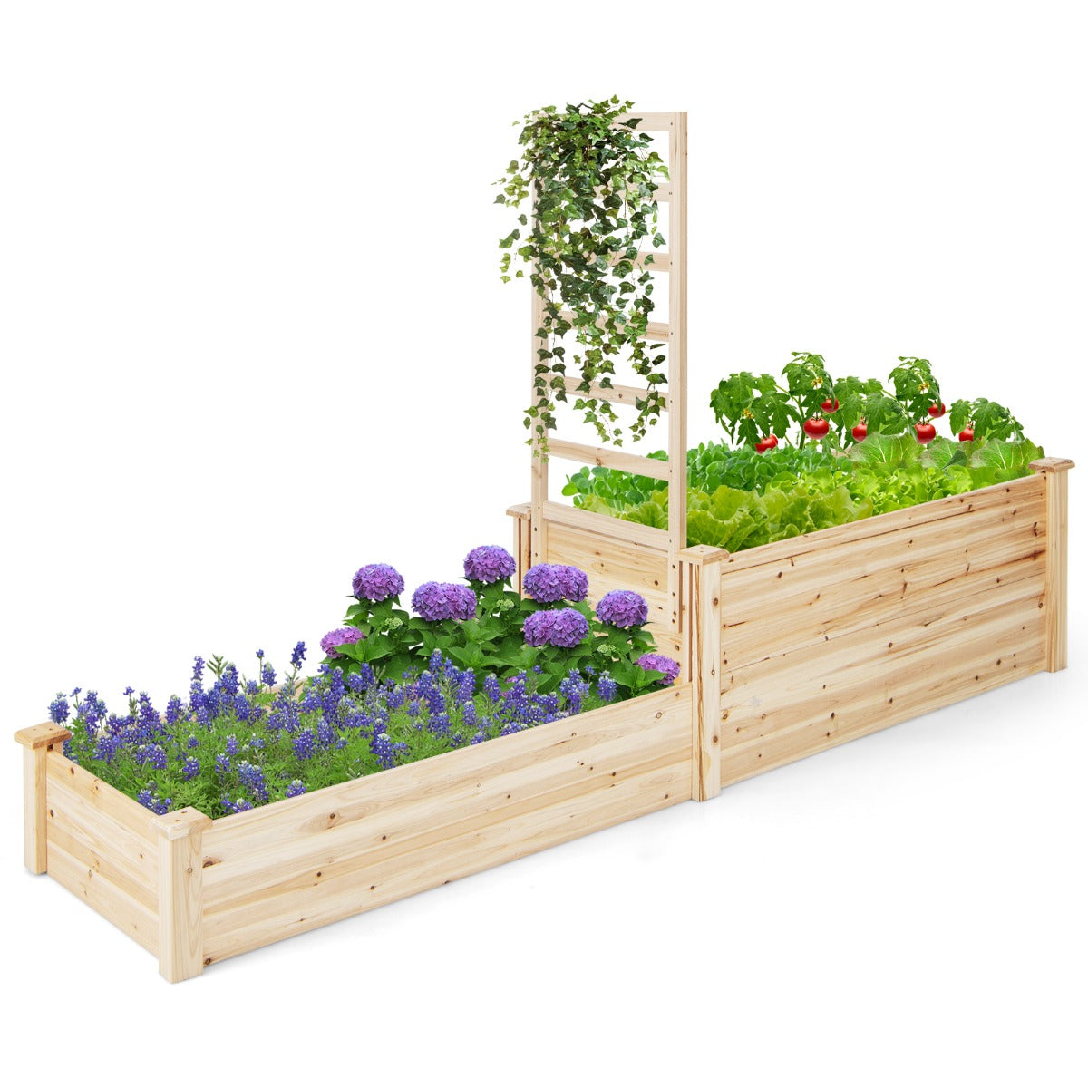 Cama de Jardim de 2 Níveis com Enrejado - Cultivo de Flores e Plantas