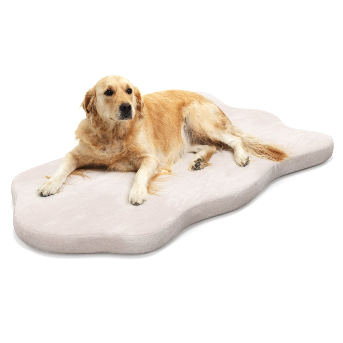 Cama para Cães Grandes com Suporte de Espuma Viscoelástica Colchonete Impermeável com Capa Removível 110 x 66 x 5 cm - Bege