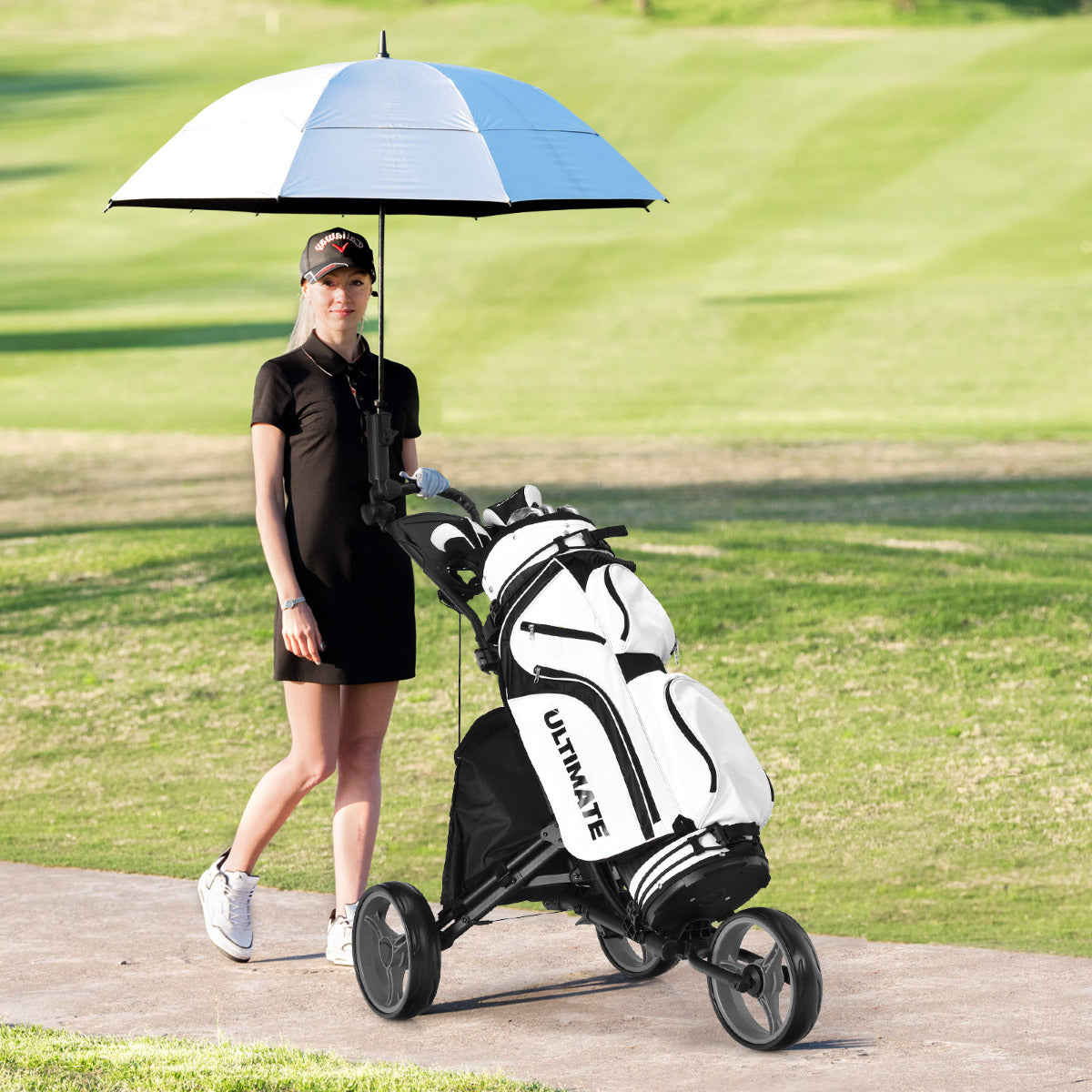 Carrinho de Golfe – Cinza – Alumínio