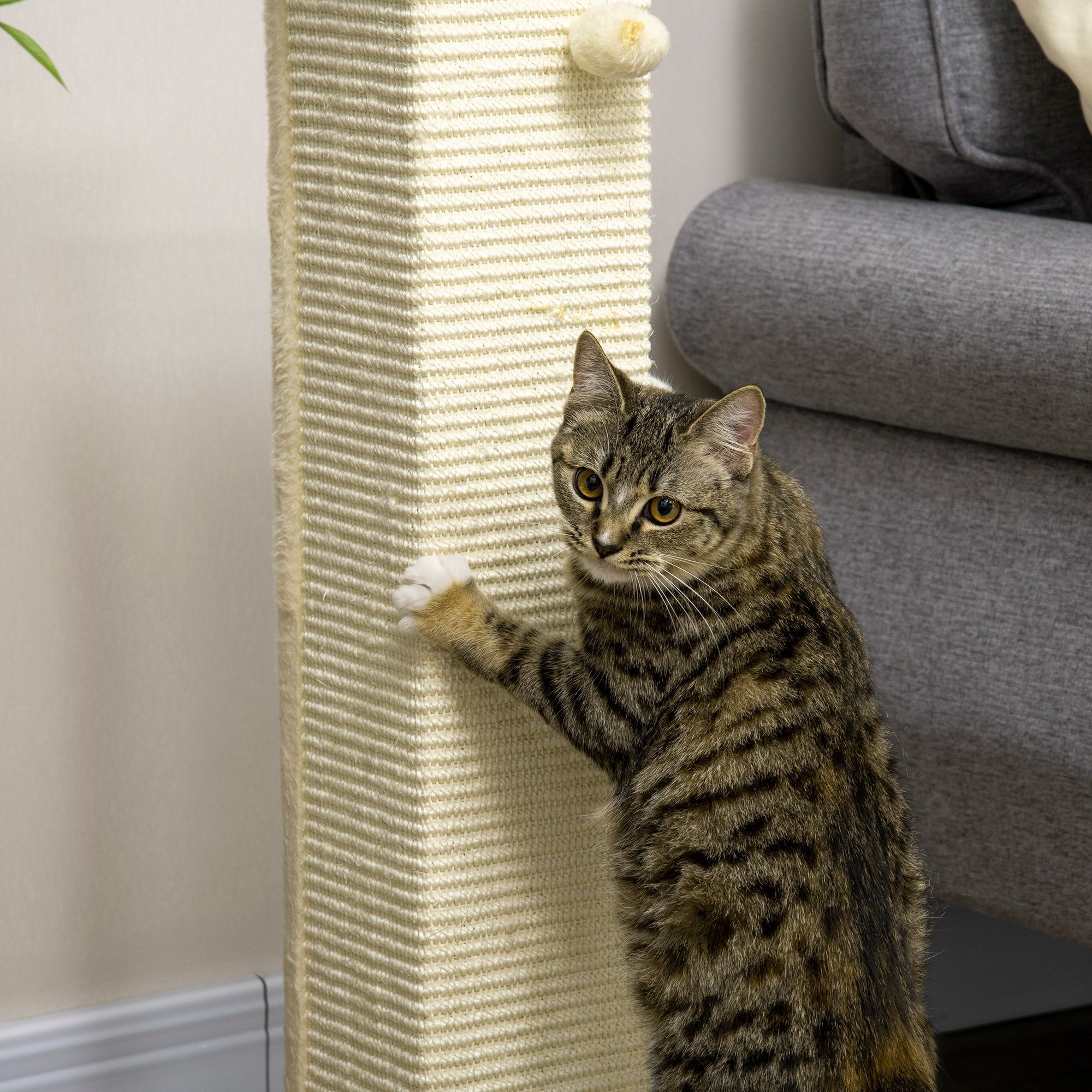 Arranhador para Gatos de 80cm Cor de Carvalho