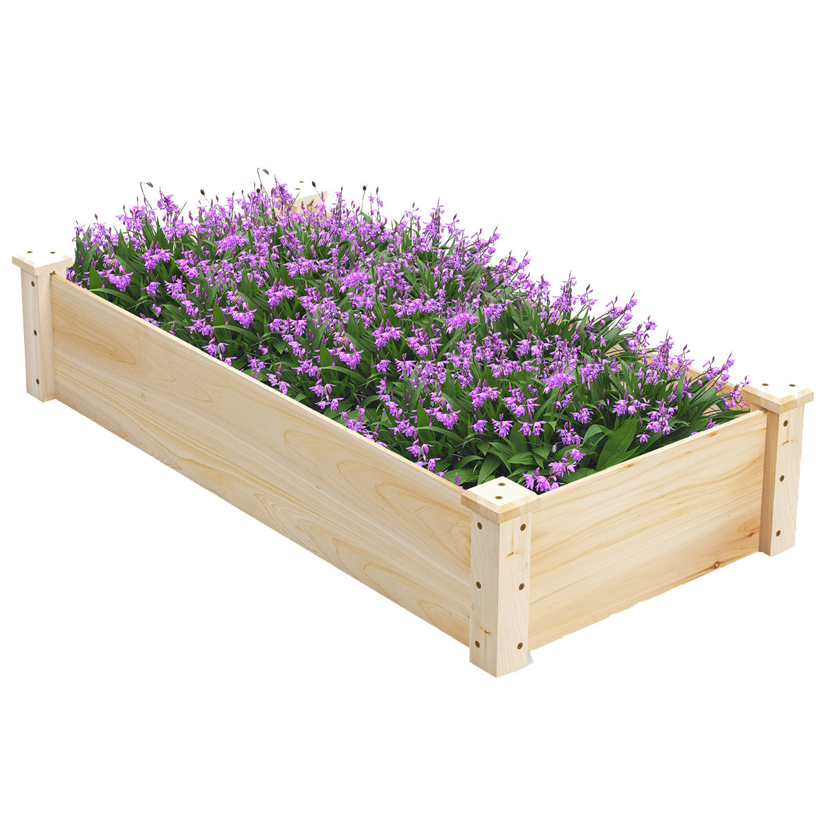 Cama de Jardim Elevada de Madeira Retangular para Plantas - 120 x 61 x 25,5 cm Natural