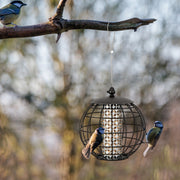 Comedouro Alimentador para Pássaros – Metal – Resistentes às Intempéries