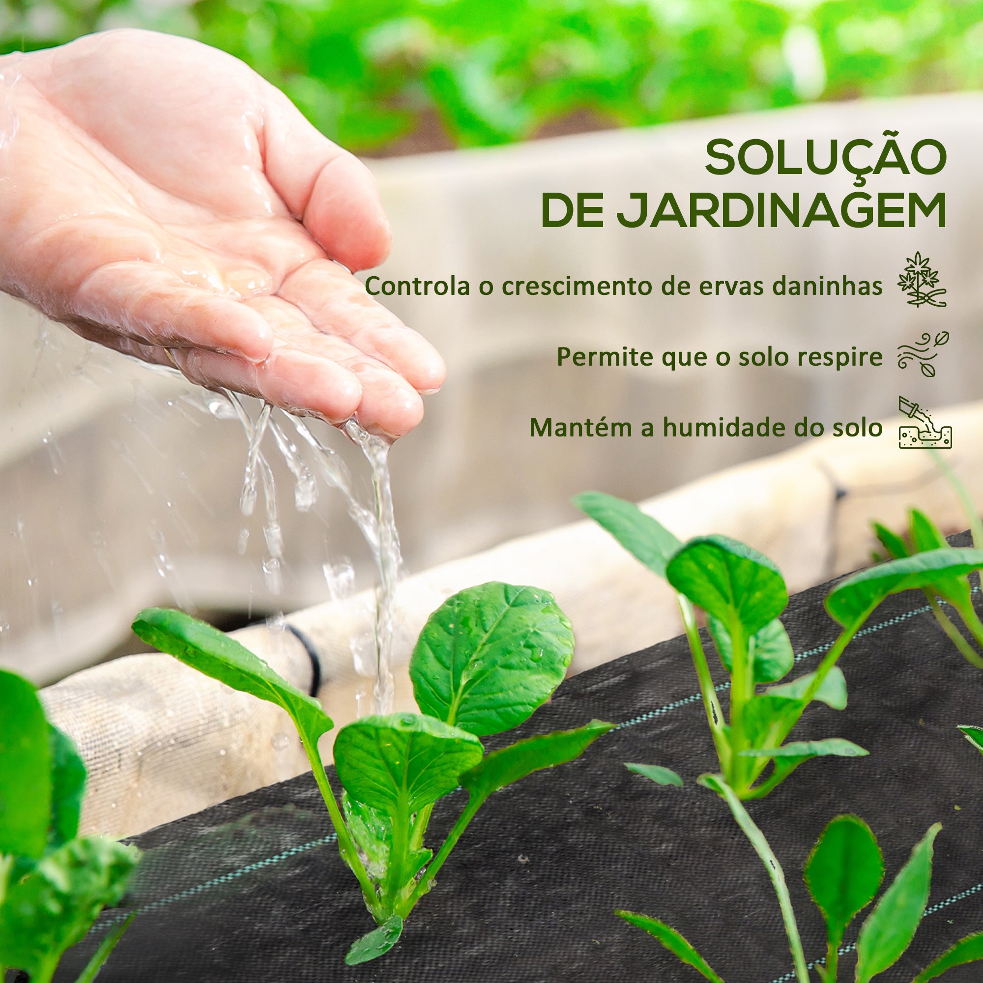 Rolo de Malha Anti-Ervas – 2x50 m – Preto – Polipropileno