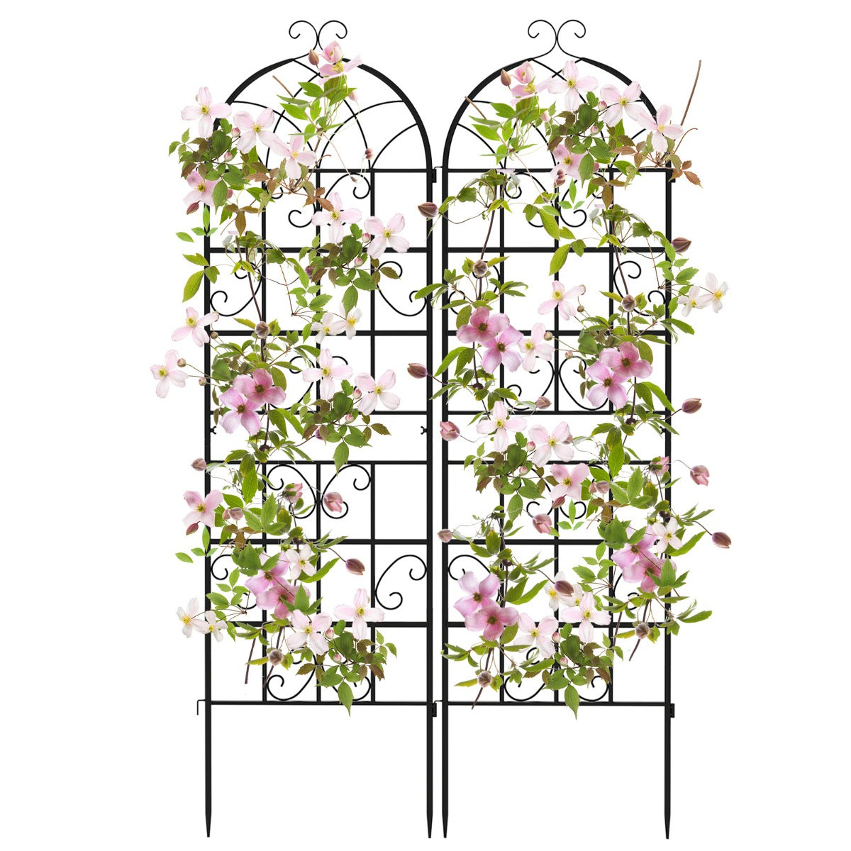 Conjunto de 2 Treliças de Jardim em Metal 180x50cm - Treliça Decorativa Exterior para Plantas Trepadeiras, Flores e Vegetais em Aço Inoxidável Preto