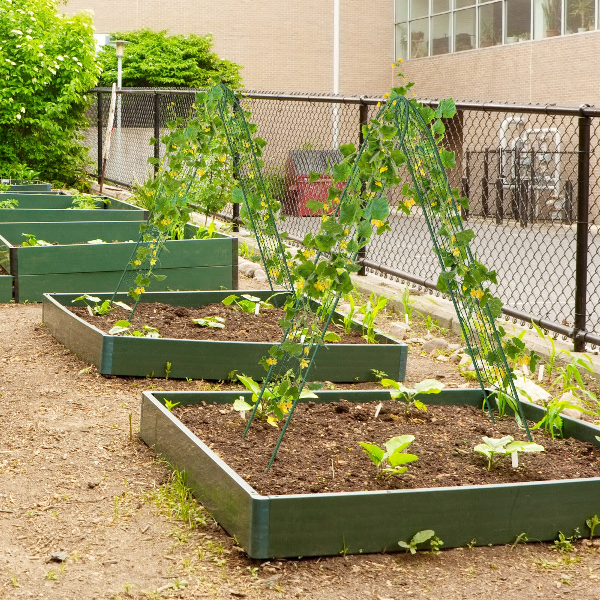 Conjunto de 4 Treliças de Jardim em Metal 180x50cm Conjunto de Suportes para Plantas Trepadeiras Vegetais Verdes