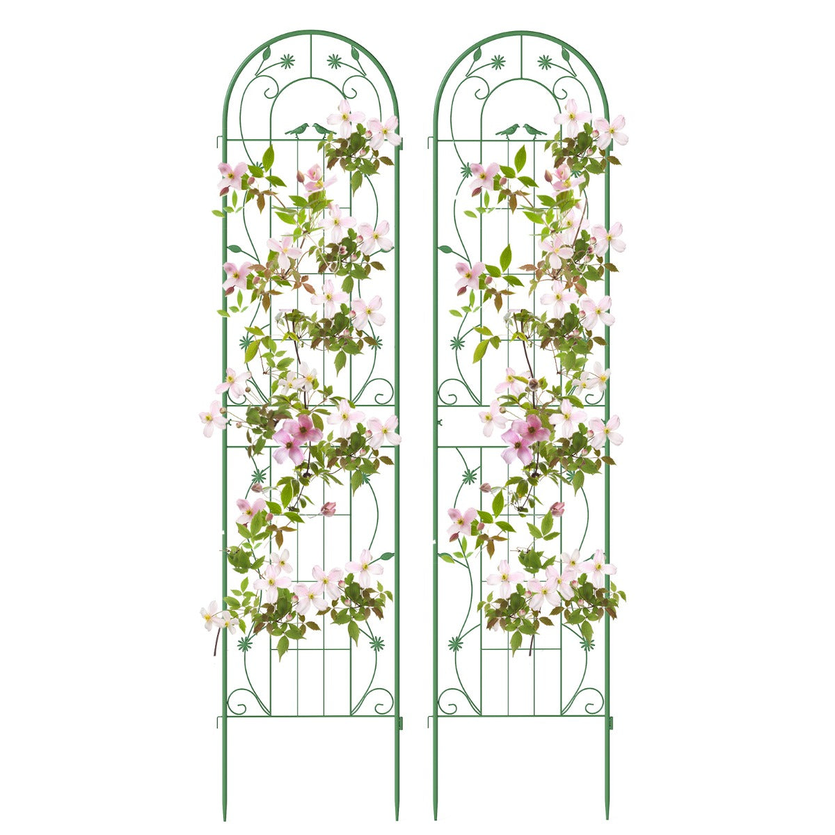Conjunto de 2 Treliças de Jardim em Metal 220x50cm Suportes para Plantas Trepadeiras Vegetais Verdes