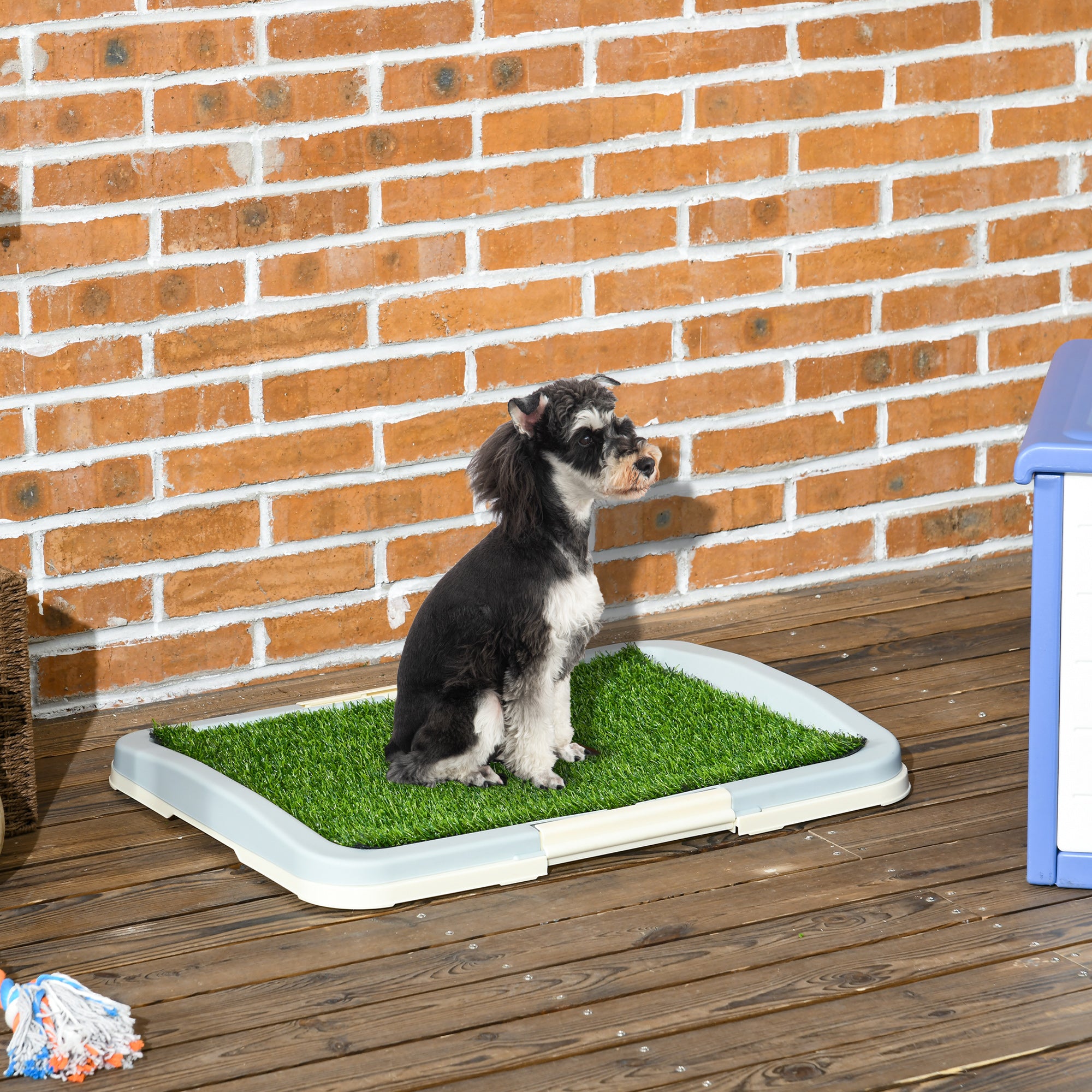 Sanita para Cães com Relva Artificial 63x48,5x6 cm - Verde