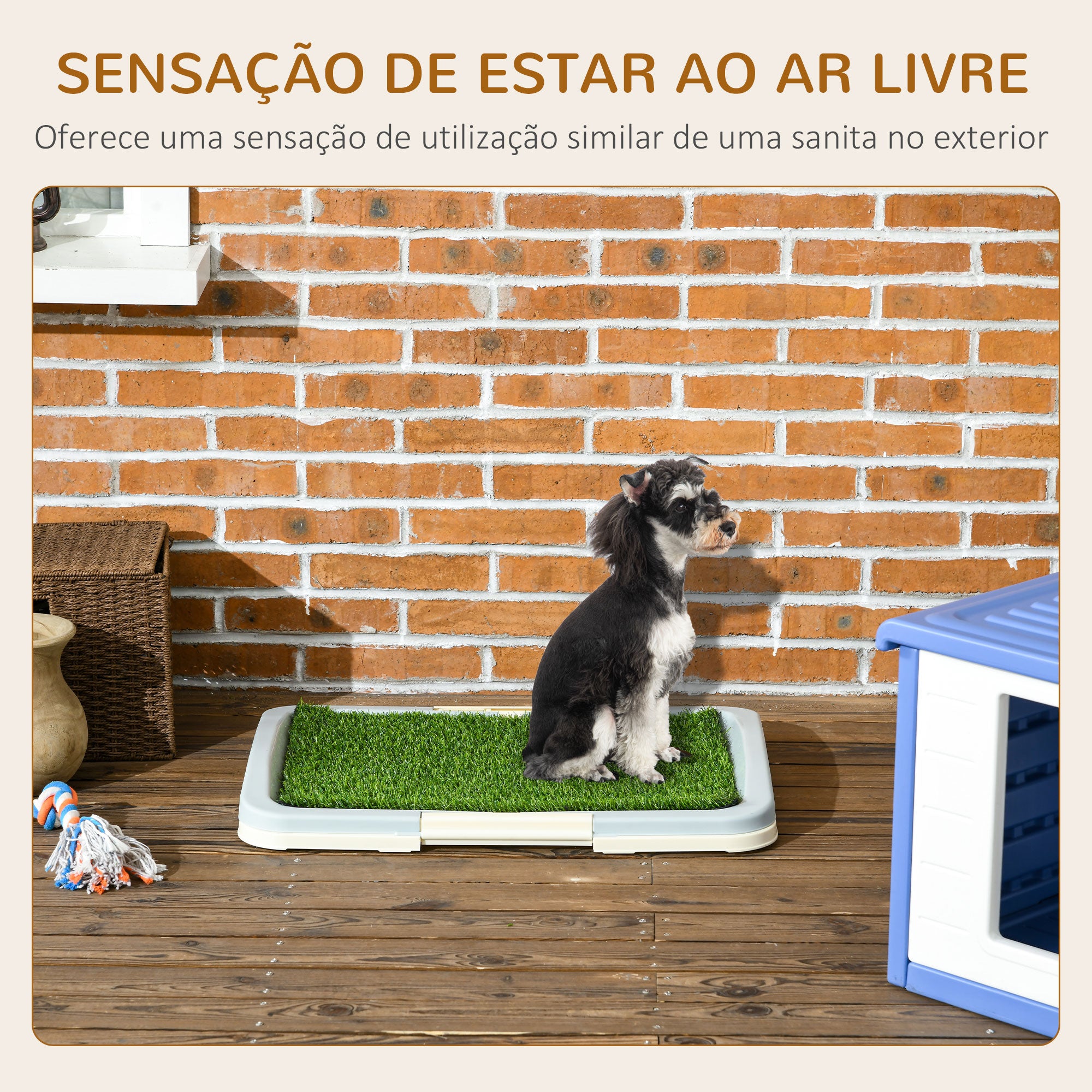 Sanita para Cães com Relva Artificial 63x48,5x6 cm - Verde