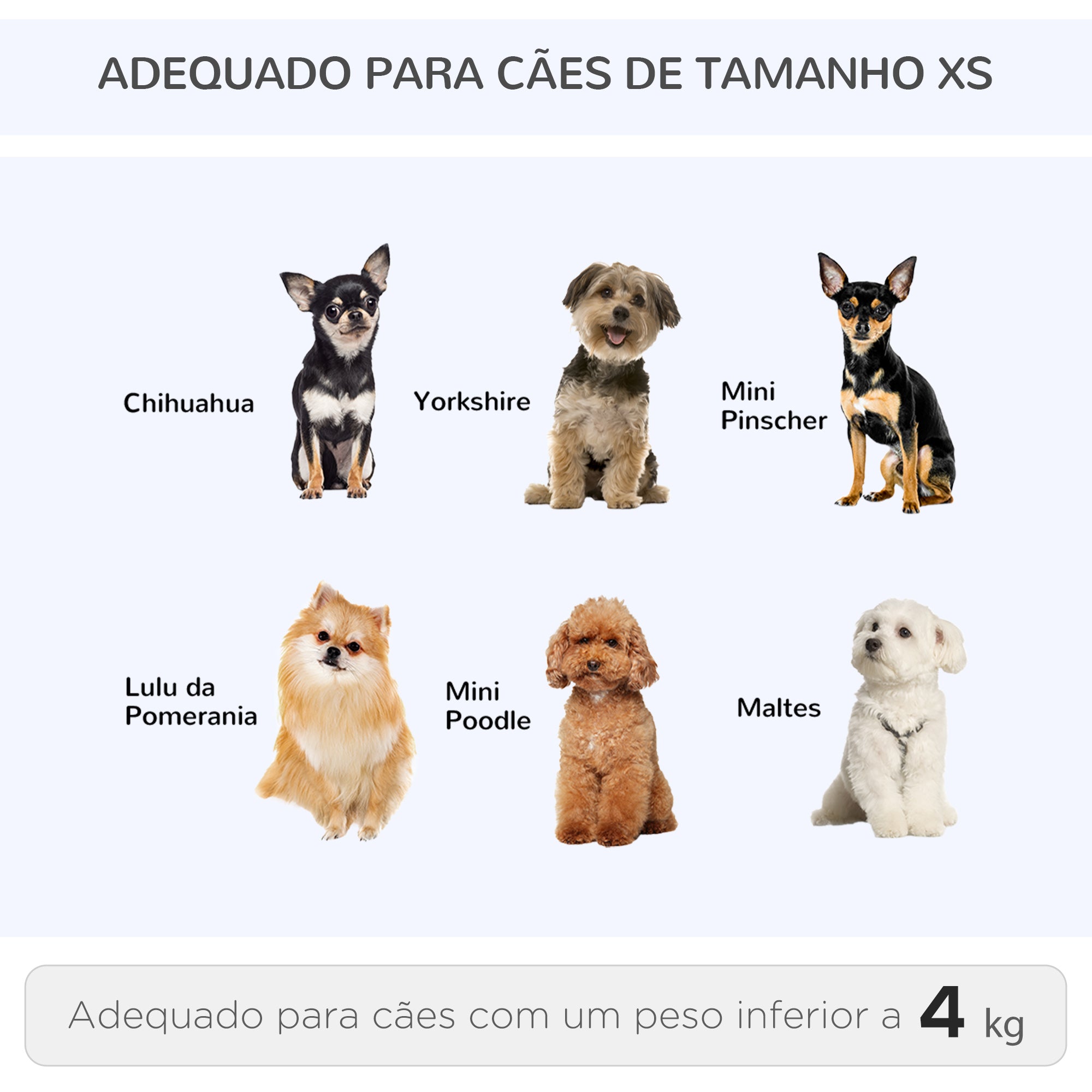 Transportadora 2 em 1 para Animais de Estimação - 42x25x55cm Azul