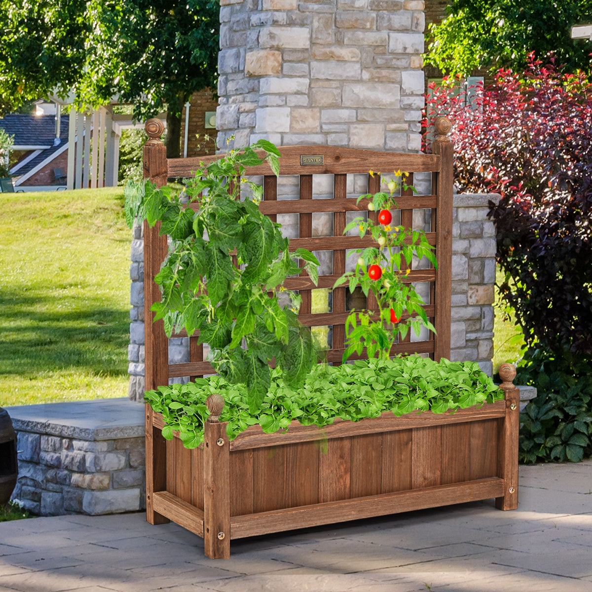 Maceta com Treliça em Madeira Vaso para Jardim Pátio Perfeito para Plantas Trepadeiras Vinhas Flores Castanho Escuro 64,5 x 28 x 75 cm