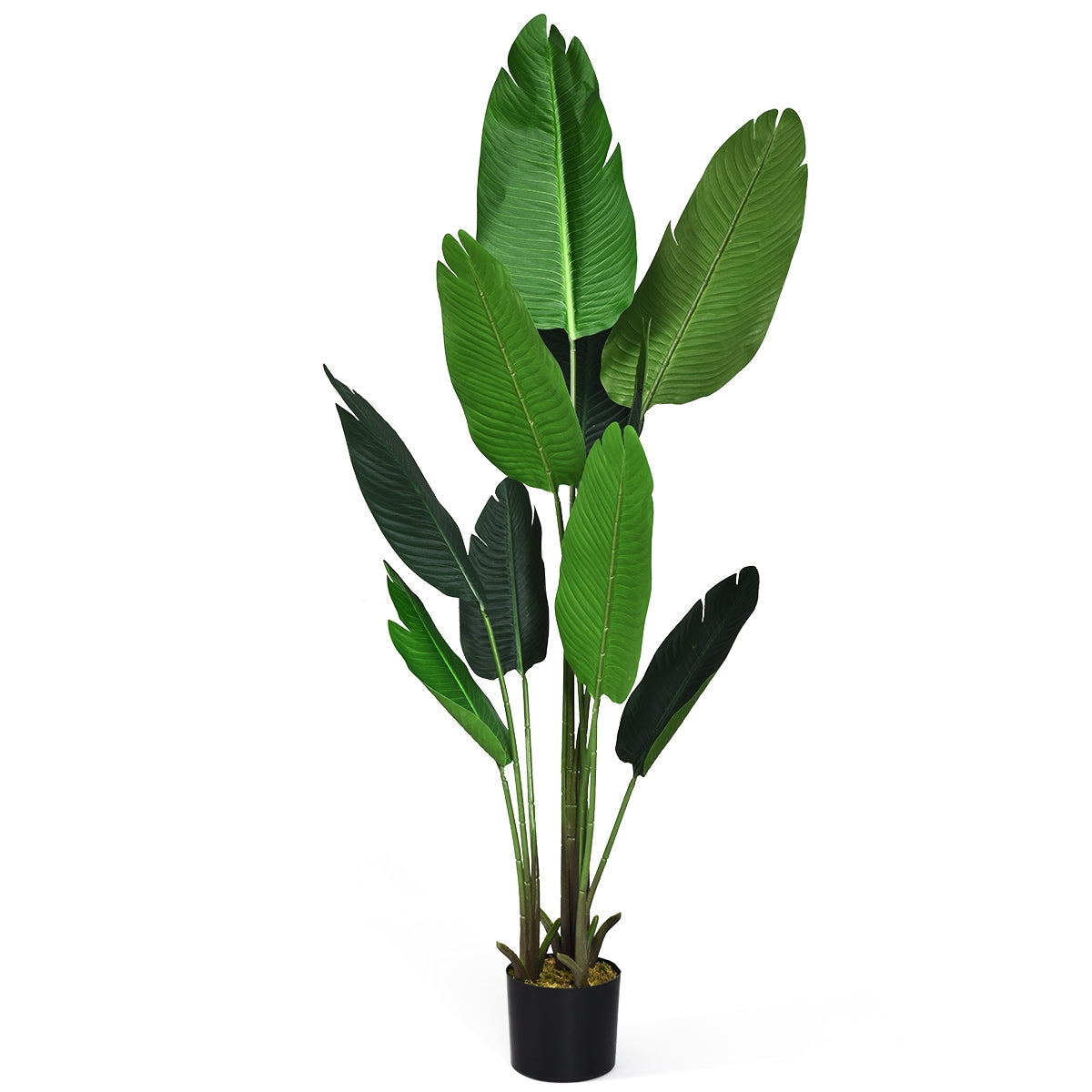 Planta Palmeira Tropical Artificial com Vaso Preto Bonsai Falso de Interior com 10 Folhas Realistas Verdes 160 cm