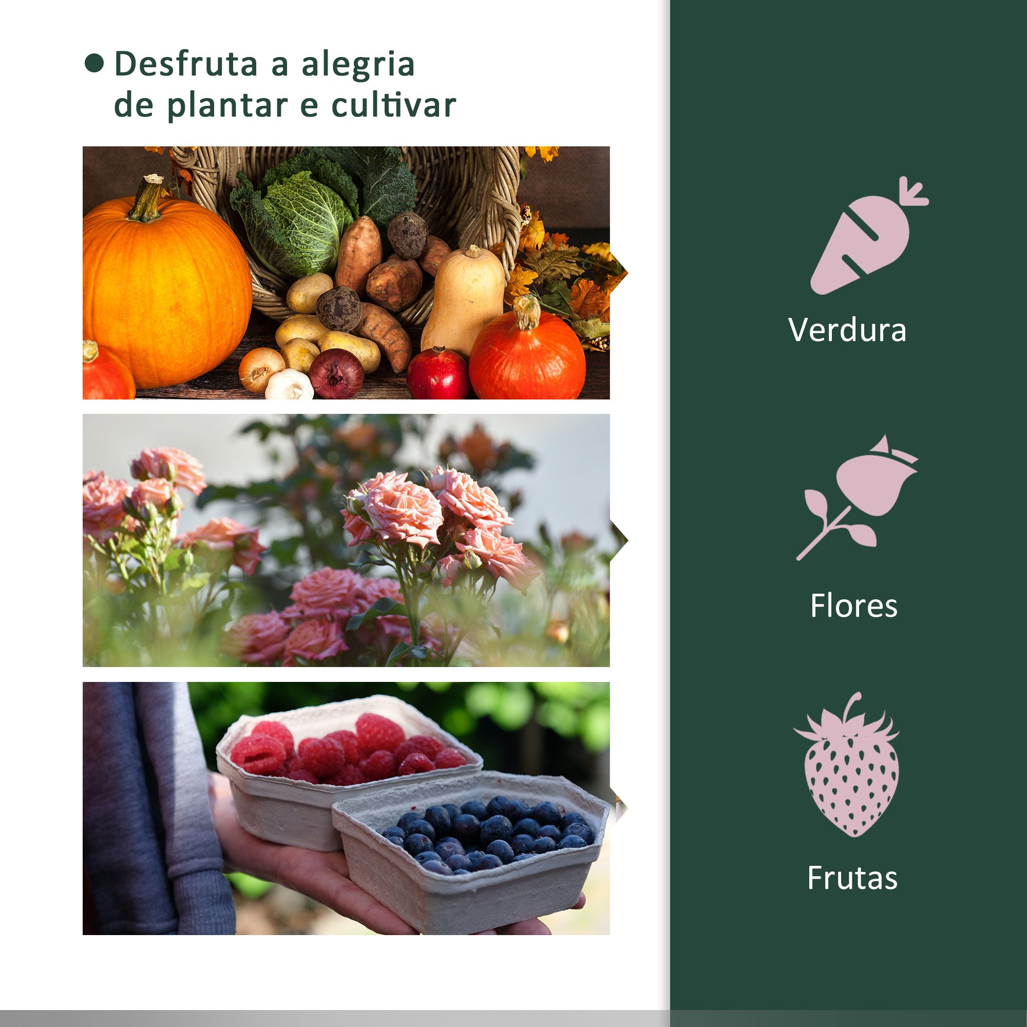 Estufa de Jardim – 200x100x80 cm – Verde – Aço