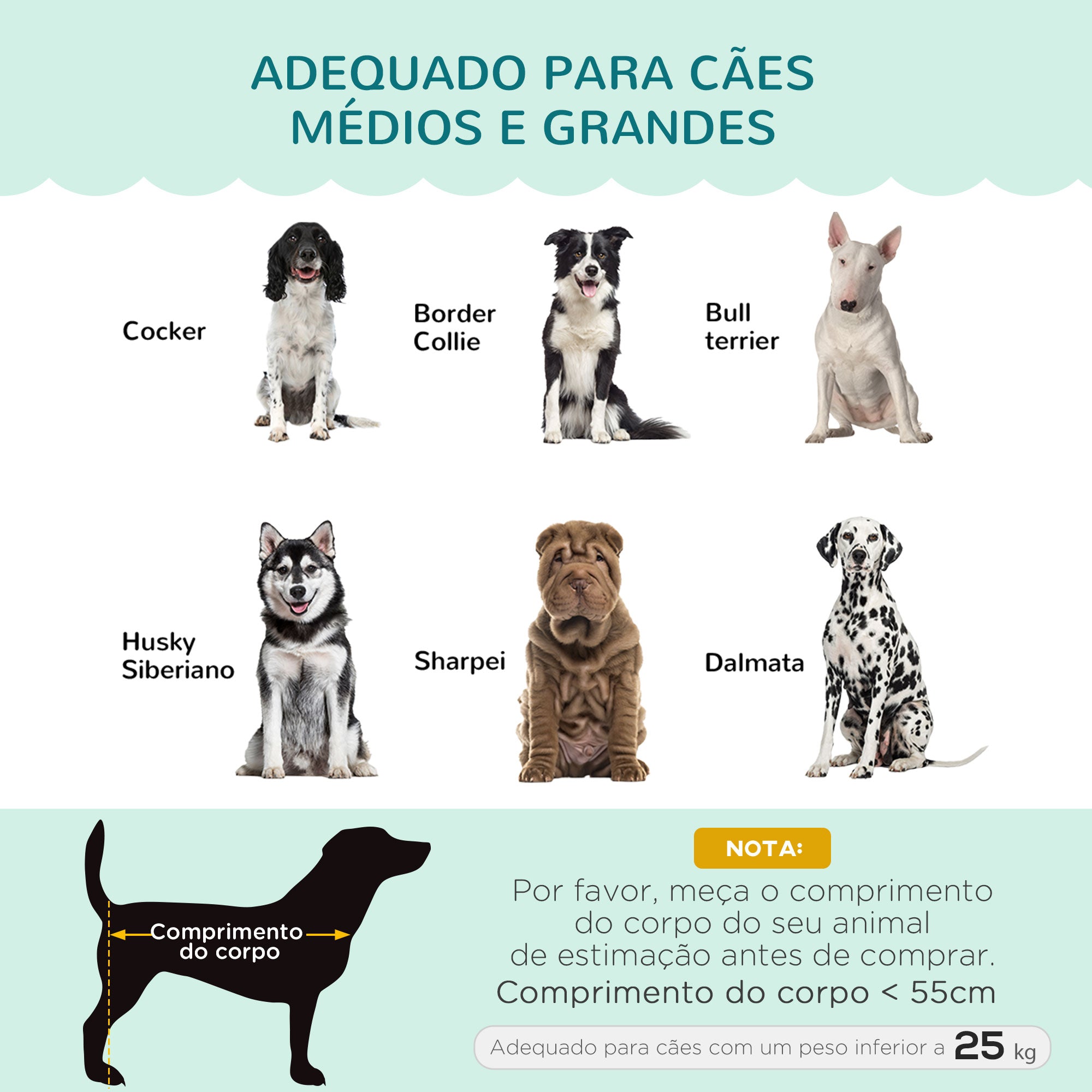 Sofá Cama para Cães Médios 98,5x60,5x35,5 cm Verde Azulado