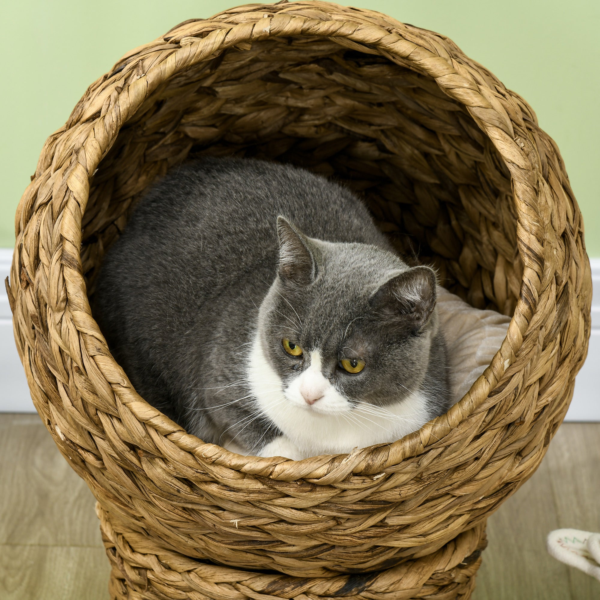 Cama para Gatos de Fibra Vegetal Desmontável 42x33x52 cm Marrom e Bege