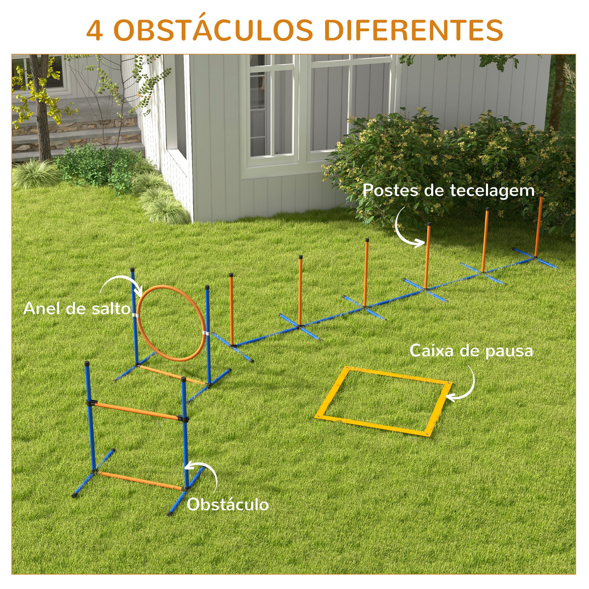 Conjunto de Treino de Agilidade para Cães – 73x66x92 cm – Laranja e Azul