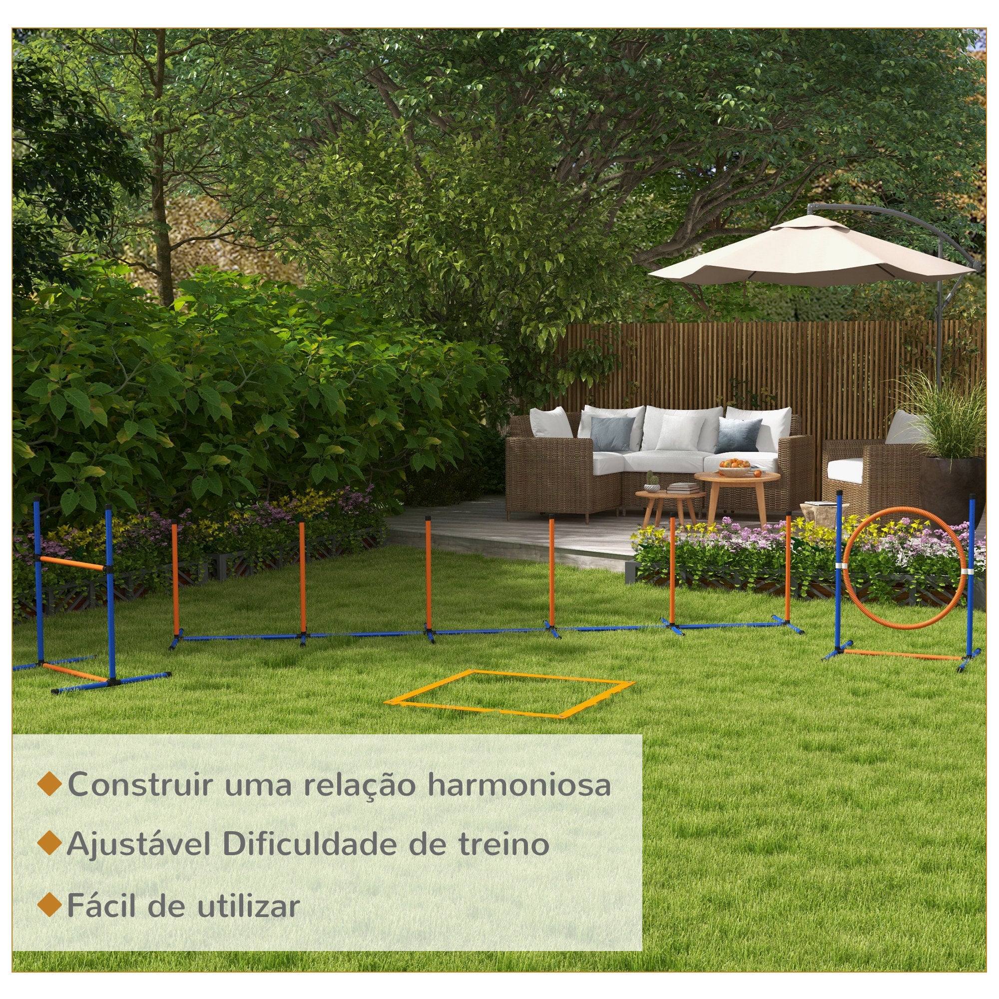 Conjunto de Treino de Agilidade para Cães – 73x66x92 cm – Laranja e Azul