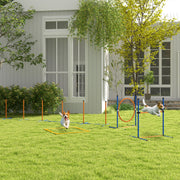 Conjunto de Treino de Agilidade para Cães – 73x66x92 cm – Laranja e Azul
