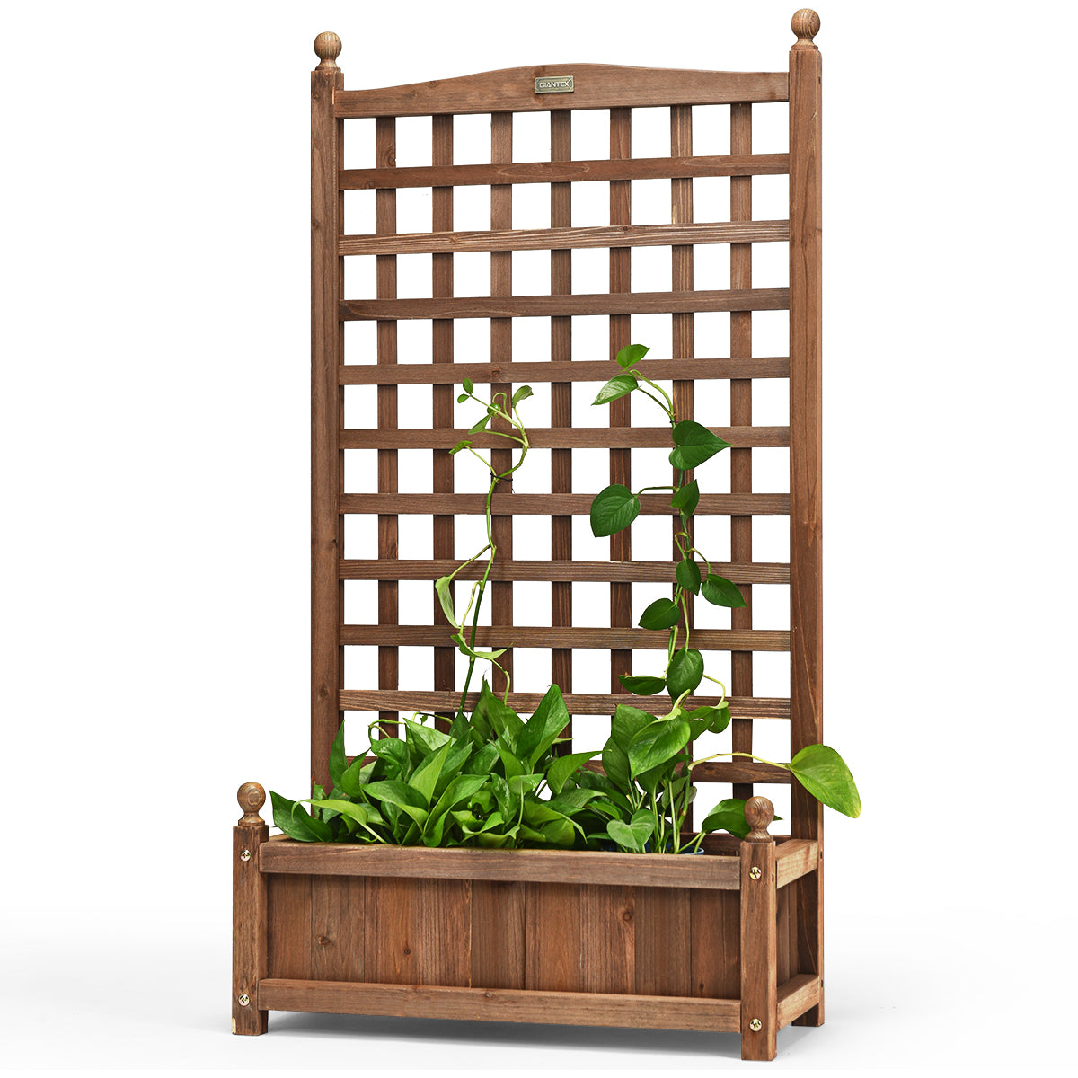 Jardinheira Elevada com Treliça Buracos de Drenagem para Plantas Trepadeiras Flores Pátio Terraço 63,5 x 28 x 122 cm Castanho
