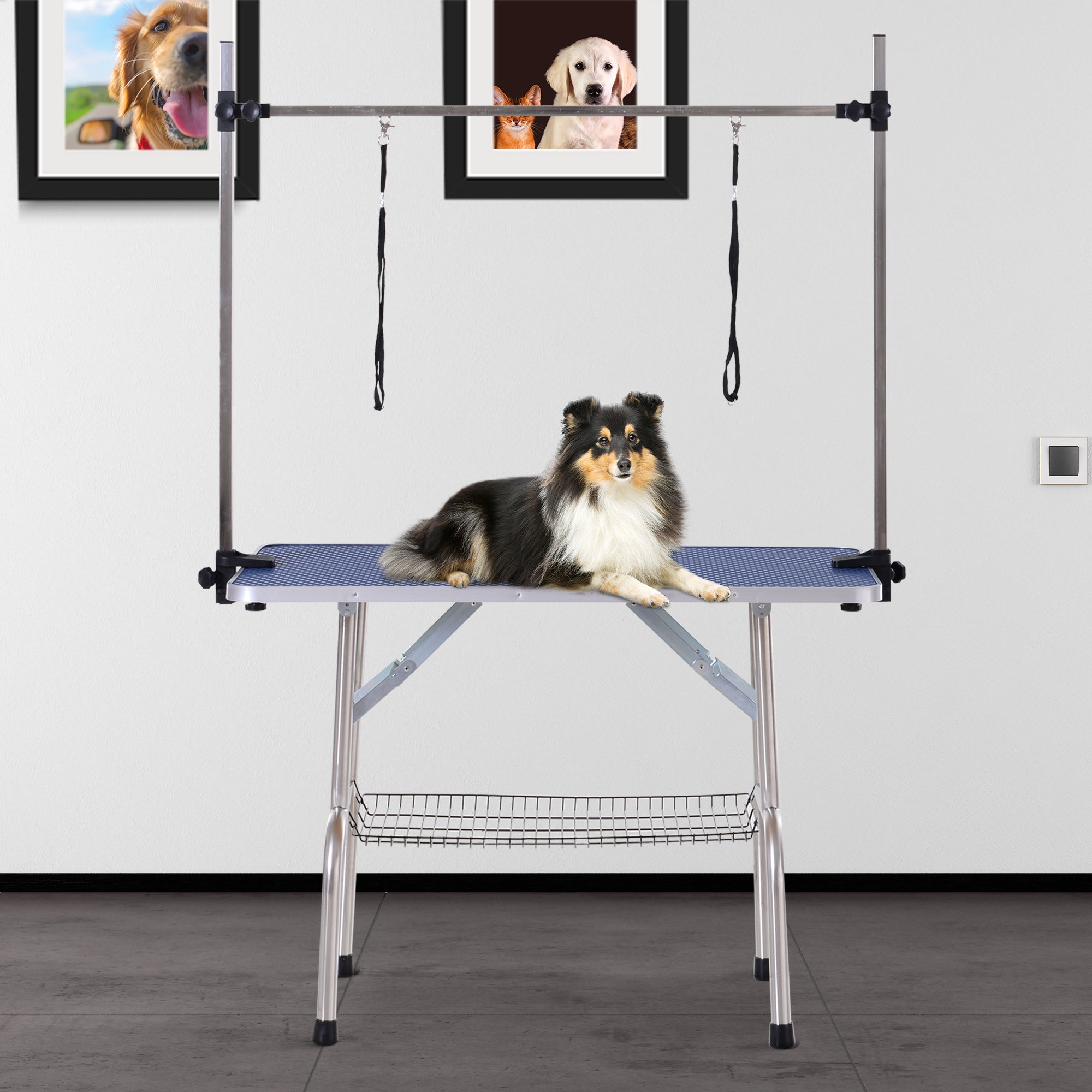 Mesa de Tosquia para Cães Azul 107x60x170 cm