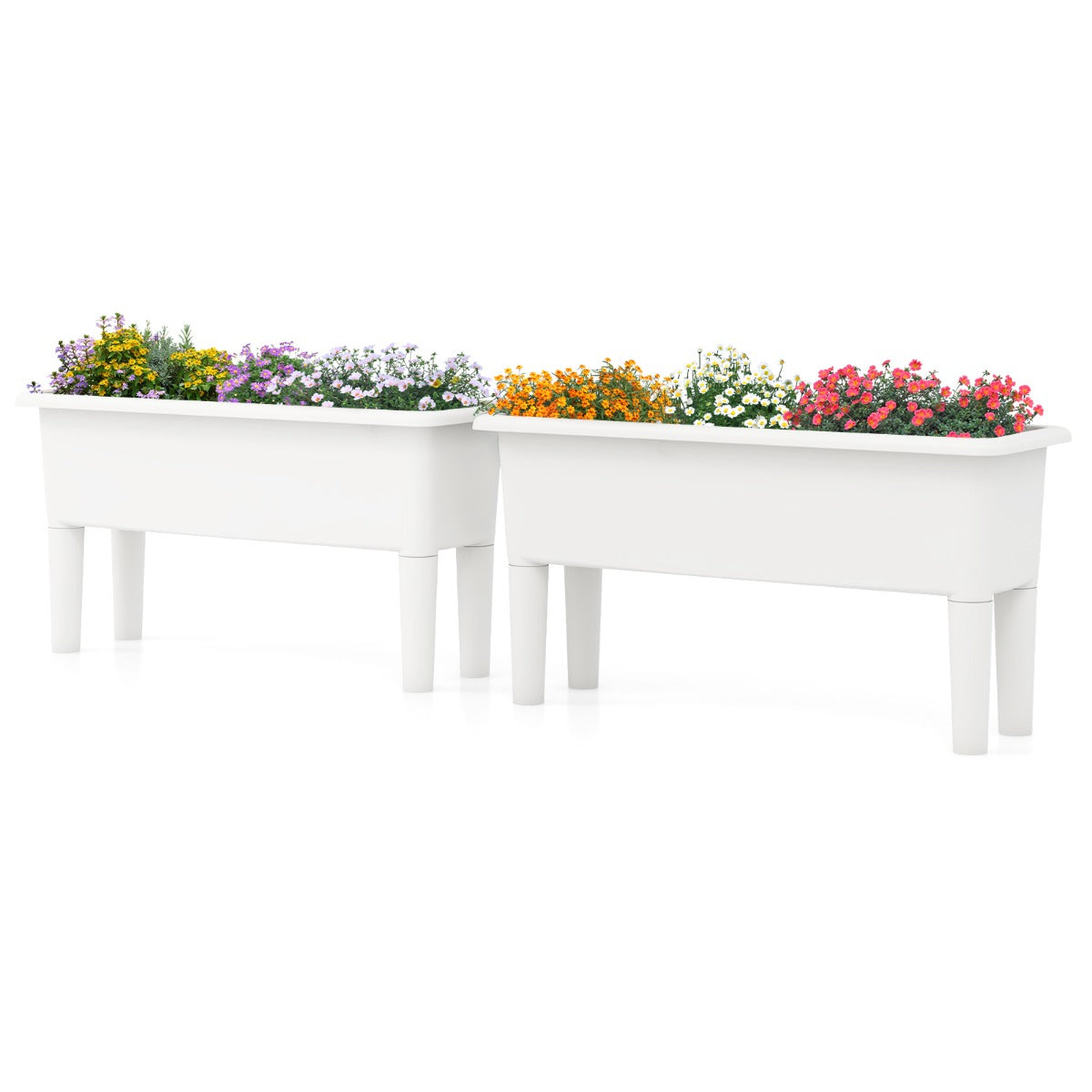 Conjunto de 2 Canteiros de Jardim Elevados com Rega Automática Pernas Removíveis Orifício de Drenagem para Vegetais Frutas e Ervas Branco