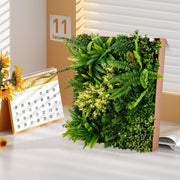 Conjunto de 2 Plantas Artificiais – 11 Tipos Suculentas – Verde – PE