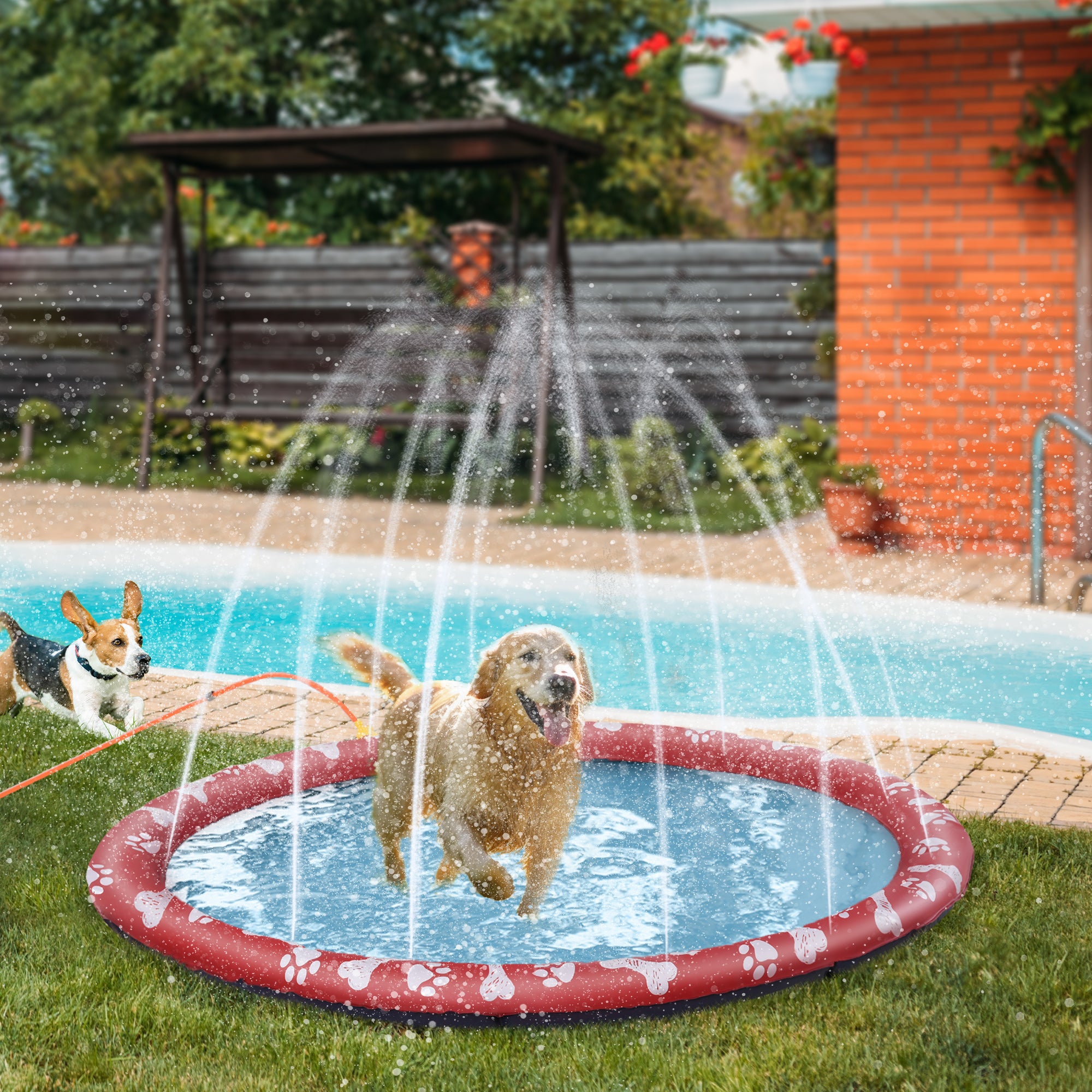 Tapete Aquático Splash Pad Vermelho Ø170 cm para Cães