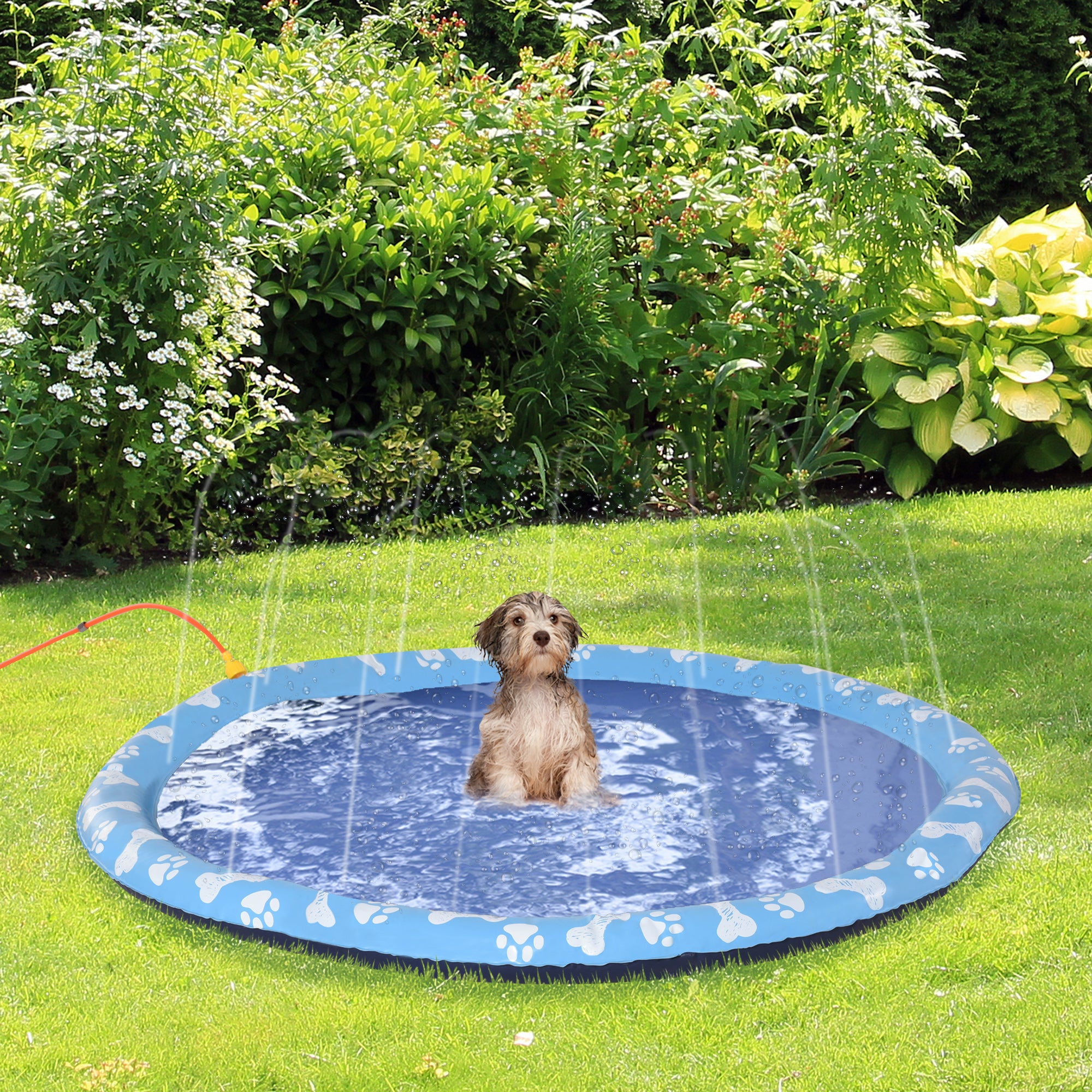 Tapete Aquático para Animais de Estimação 170 cm Azul