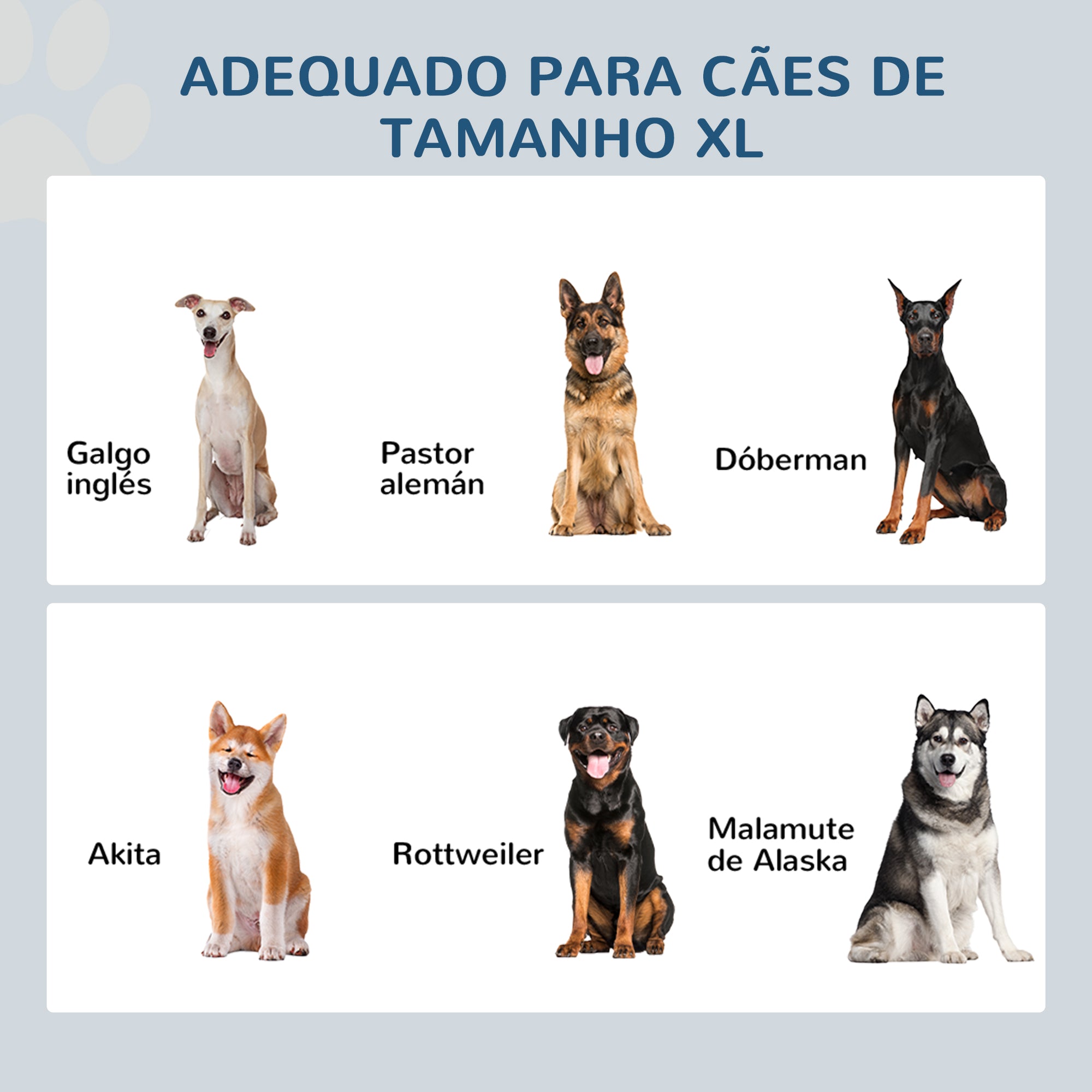Comedouro Elevado para Cães 60x30x41 cm Branco