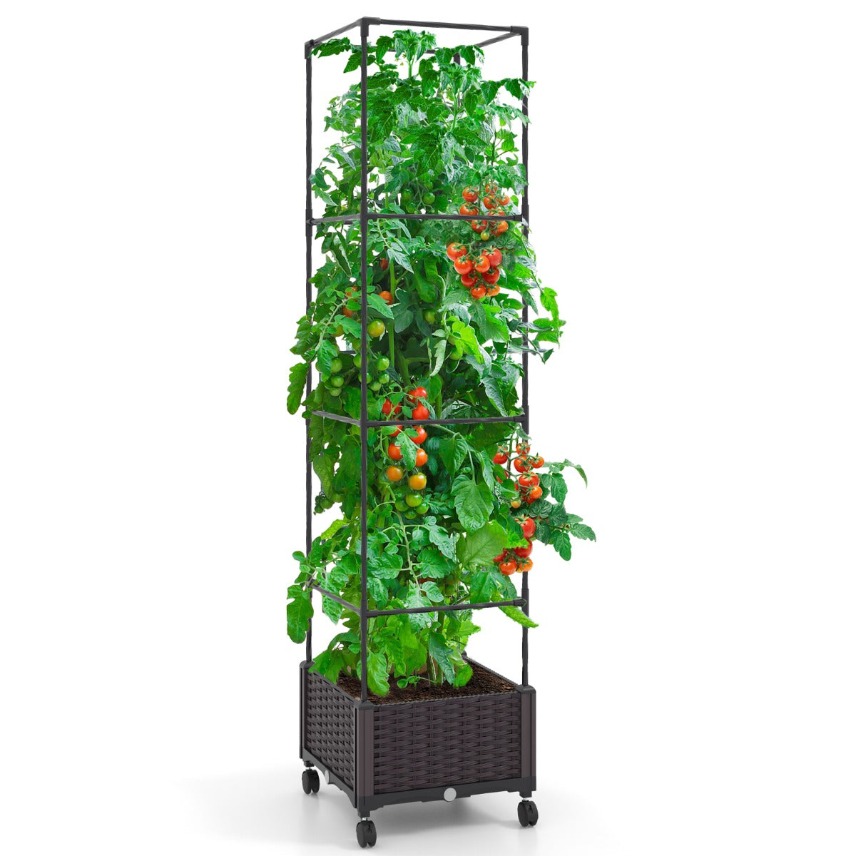 Macetero Elevado de 170 cm com Treliça Sistema de Rega Automática Rodas Macetero Vertical para Plantas Trepadeiras Flores Vegetais