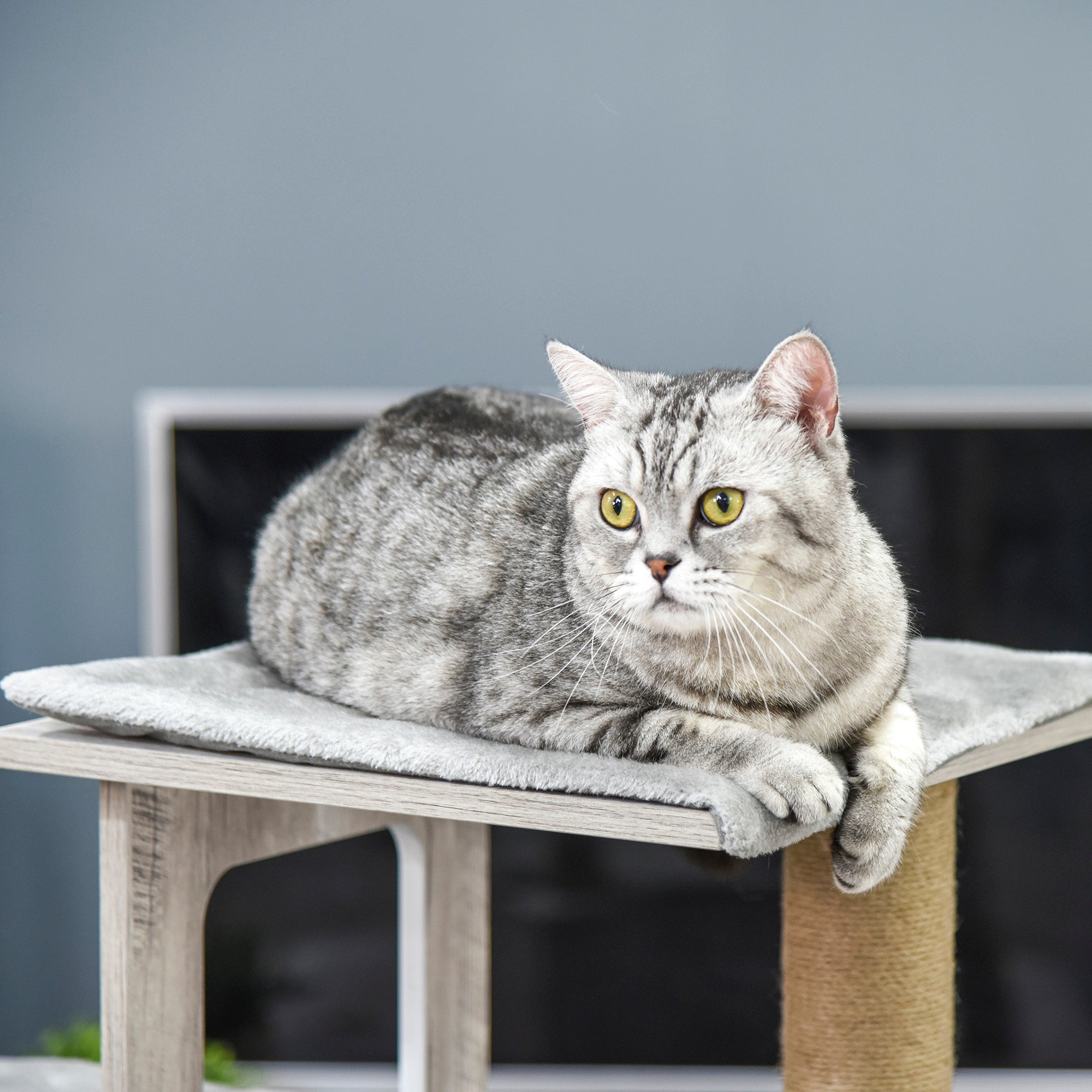 Arranhador para Gatos com Caverna e Plataformas - 67x38.5x114cm - Cinzento