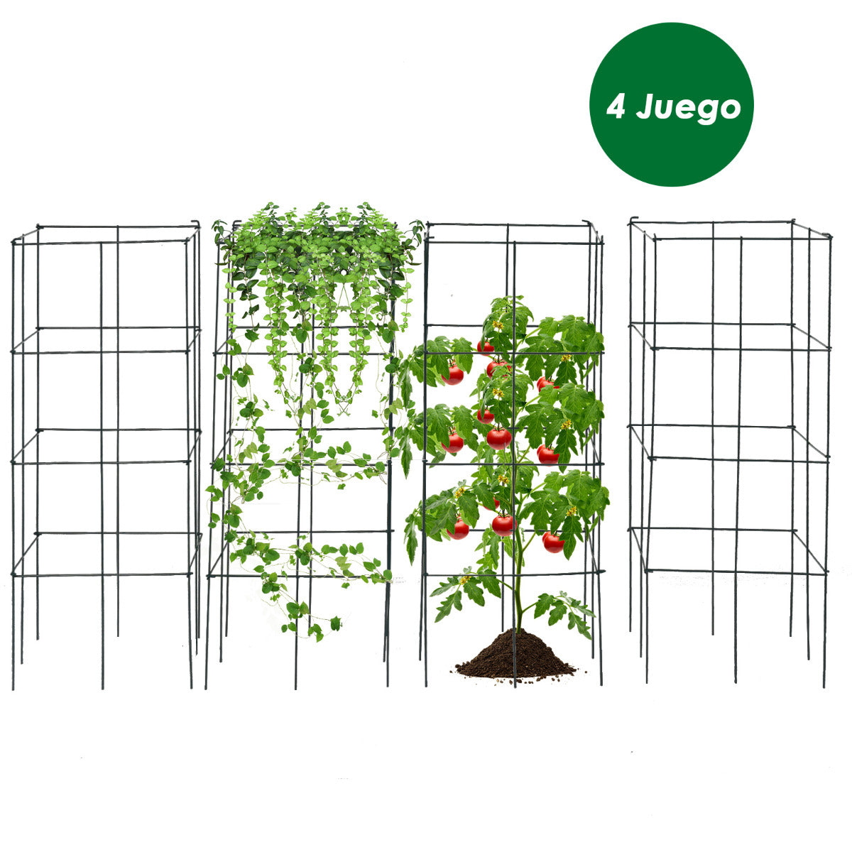 Conjunto de 4 Jaulas para Tomates Suporte para Plantas Trepadeiras Verticais de Jardim Resistente à Ferrugem e Robusto para Uvas Trepadeiras