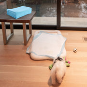 Tapete Descartável para Cães – 61 x 43 cm – Azul – materiais hipoalergénicos