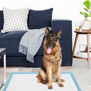 150 Tapetes Descartáveis Absorventes de Secagem Rápida para Cães com Controlo de Odores Almofada de Fraldas Descartável 76 x 76 cm Azul