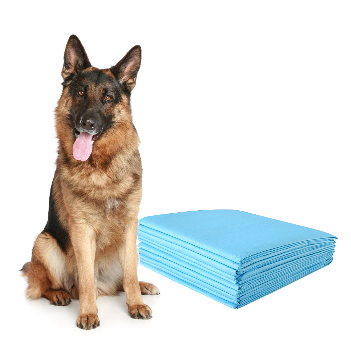 150 Tapetes Descartáveis Absorventes de Secagem Rápida para Cães com Controlo de Odores Almofada de Fraldas Descartável 76 x 76 cm Azul