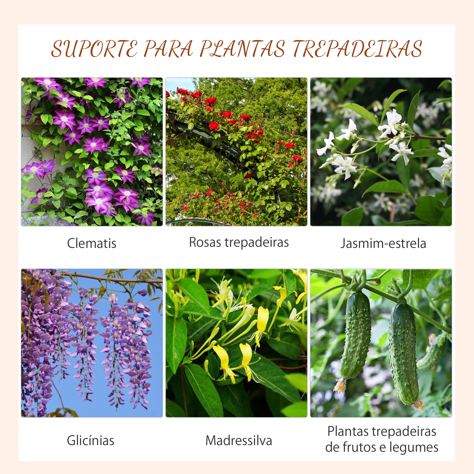 Treliças de Jardim Suportes para Trepadeiras 45x150 cm - Cor Preto
