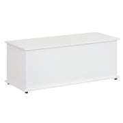 Baú de Armazenamento de Madeira Branco 100x40x40 cm