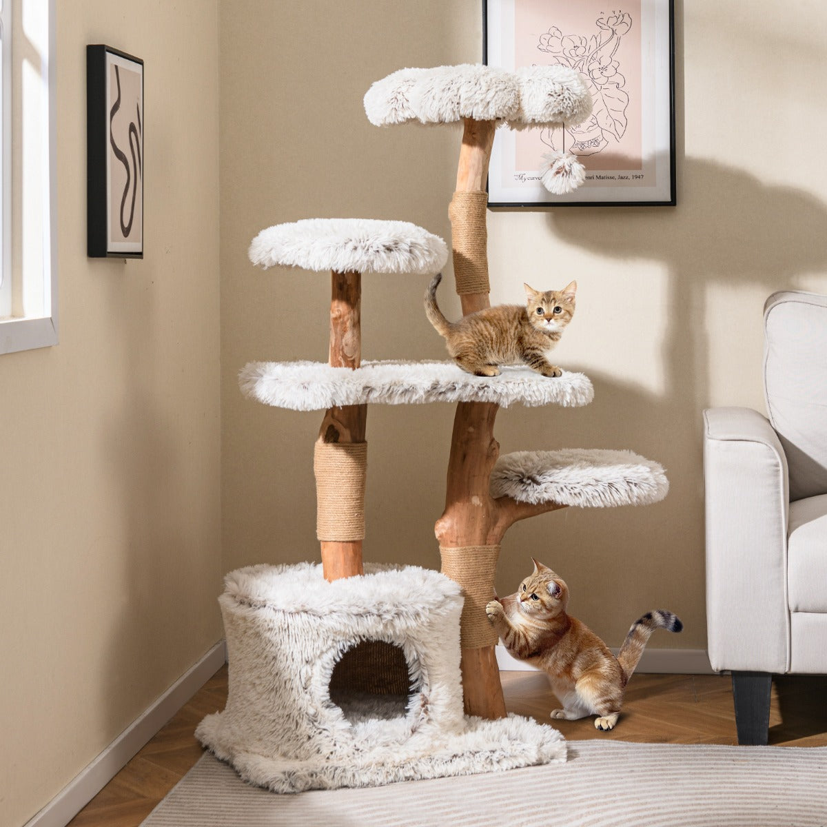 Torre de Gatos em Madeira com Ramo Natural de 135 cm e Postes Arranhadores de Juta Percha de Pelúcia Condomínio
